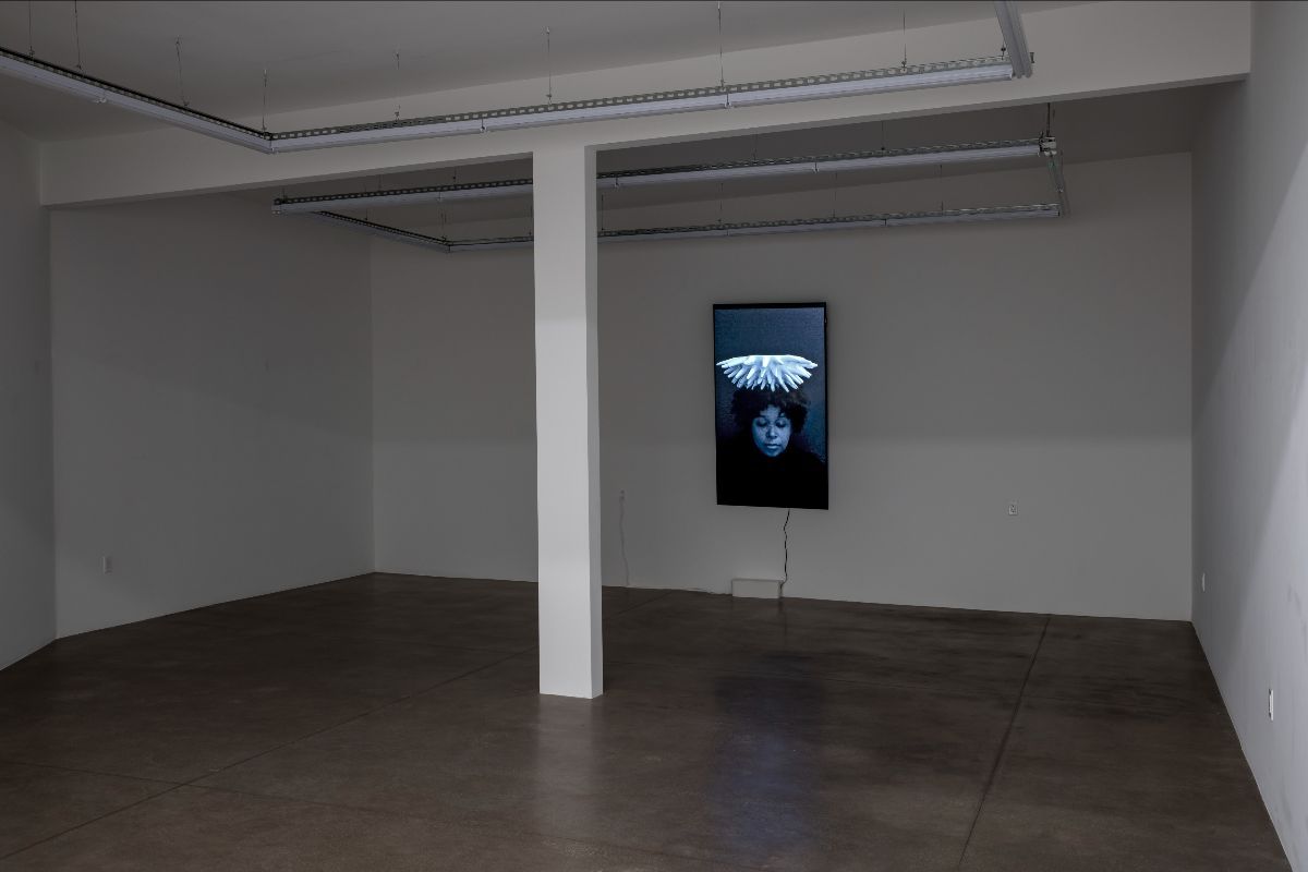 Anina Major, Inheritance at Shoshana Wayne, photo 4