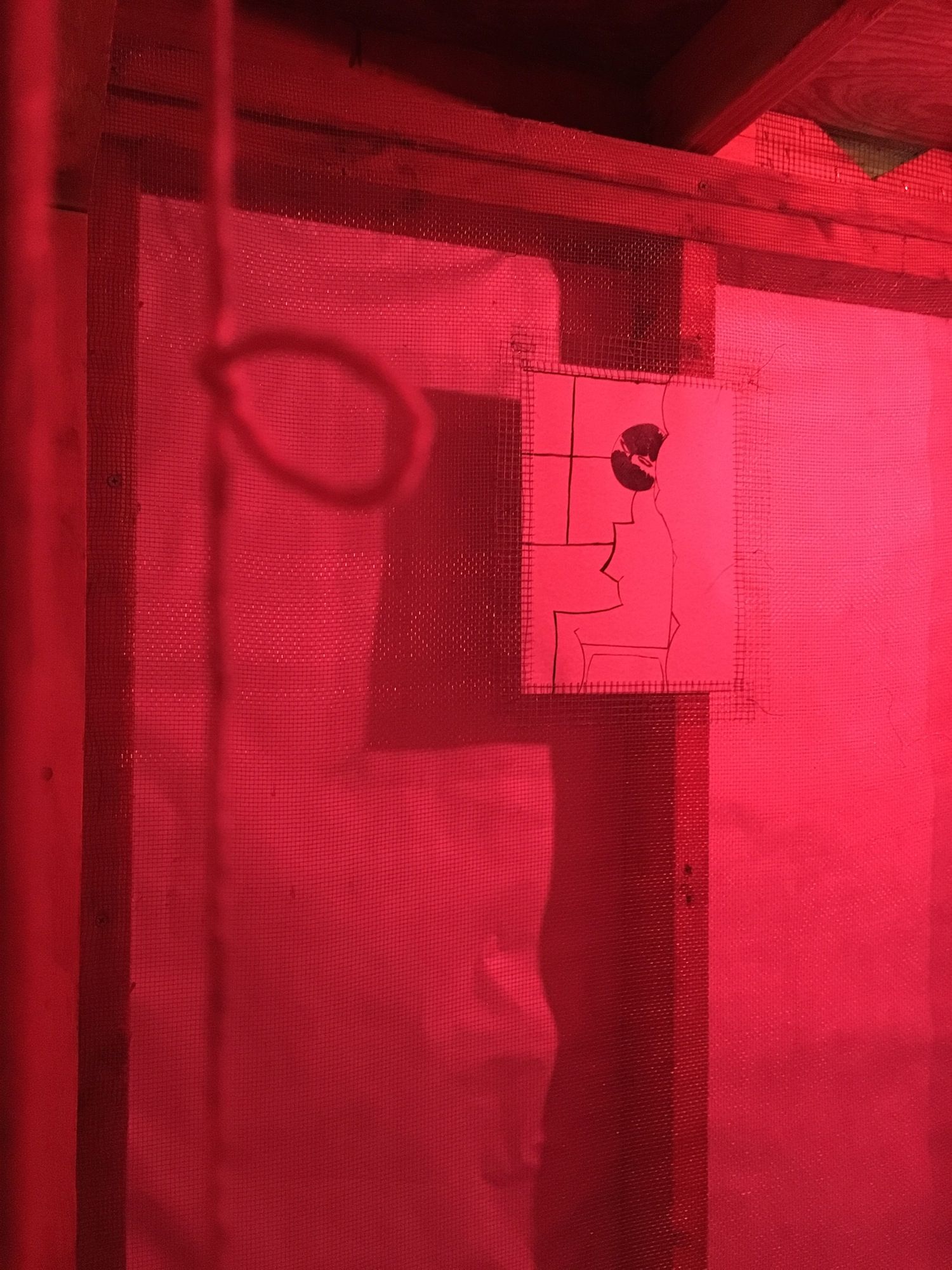 Hanna Hur & Michael Kennedy Costa, Trapdoor at 67 Steps, photo 6