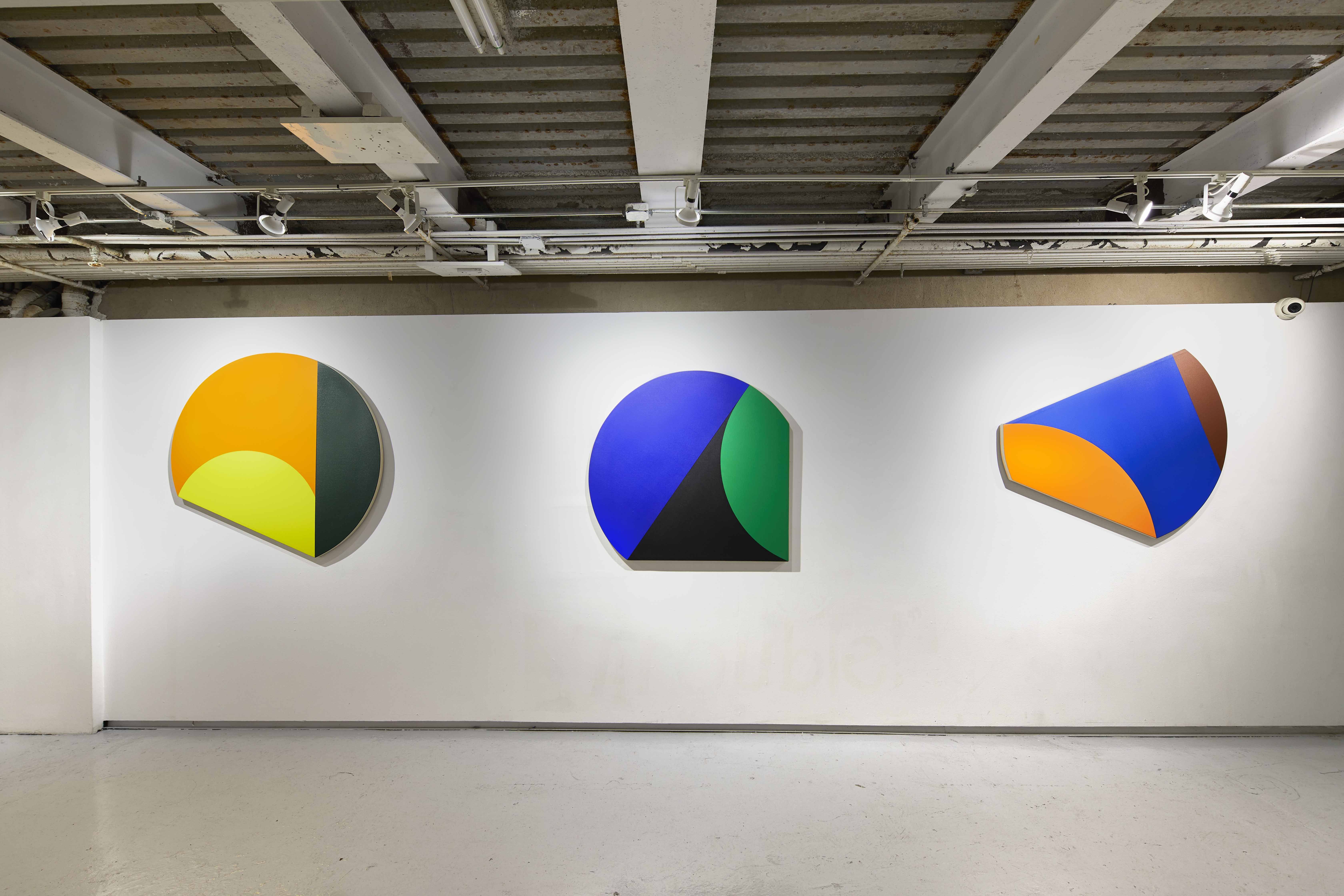 Leo Valledor, Color As Space at WhiteBox, photo 7
