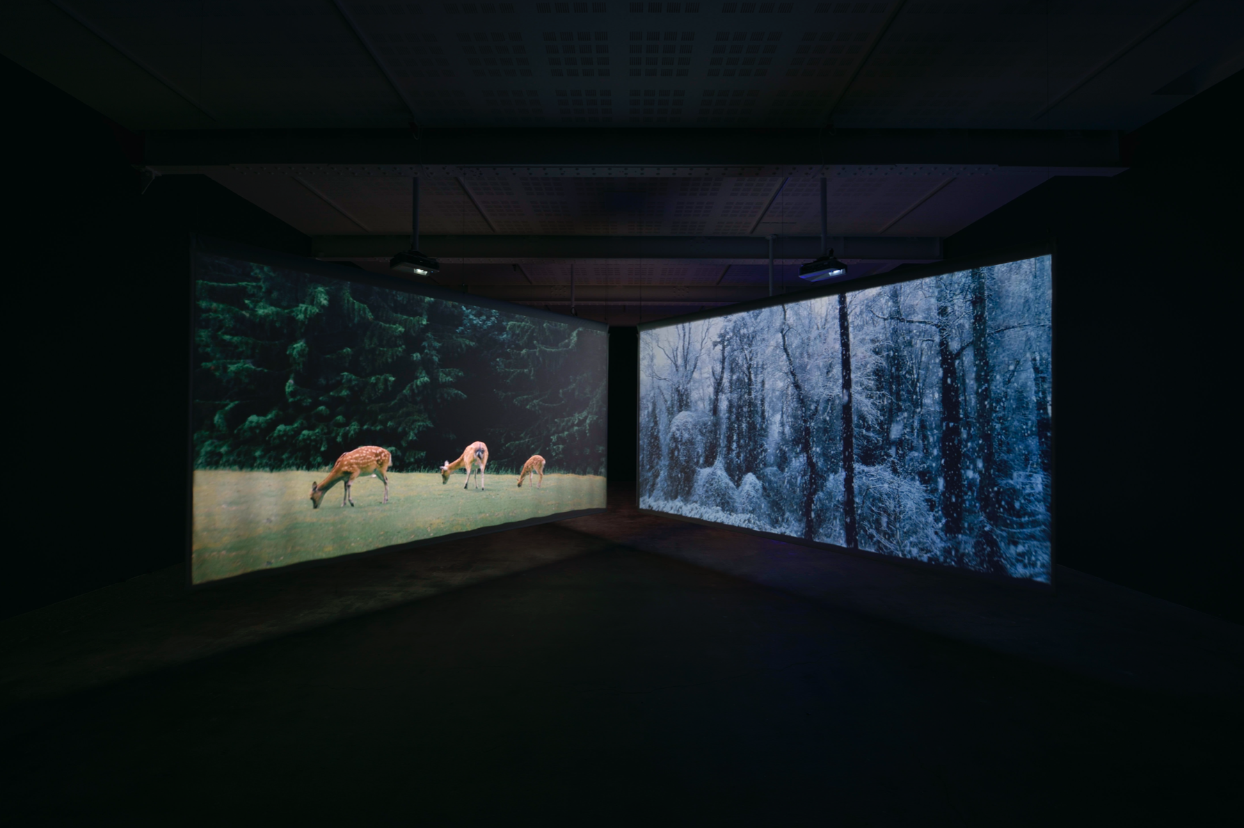 Christian Boltanski, Après at Marian Goodman, photo 4
