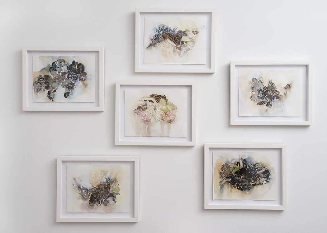 Lina Puerta, image 10 of 10