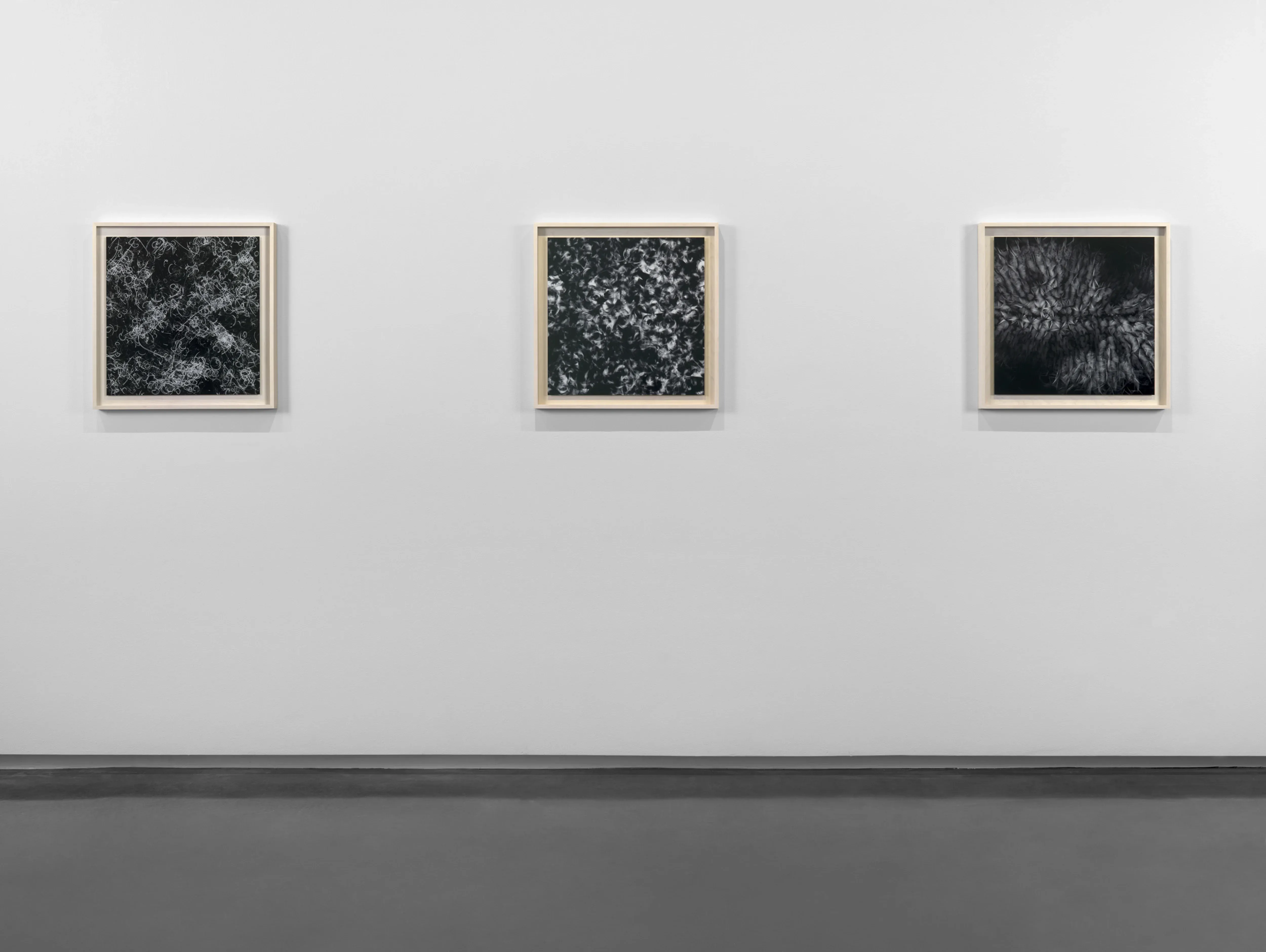 Casey Reas, image 4 of 4