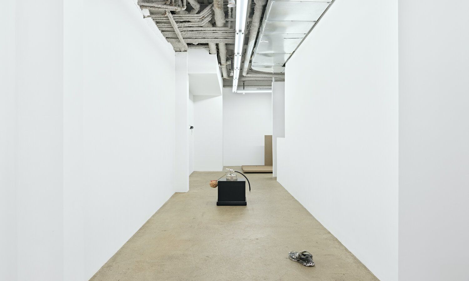 Arcadian Feedback, Arcadian Feedback at M 2 3, photo 8