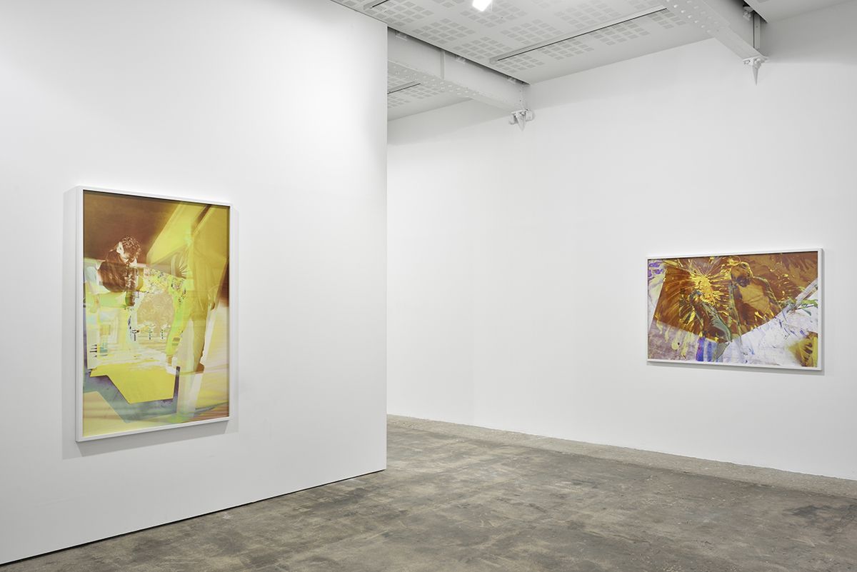 James Welling, Chronology at Marian Goodman, photo 5