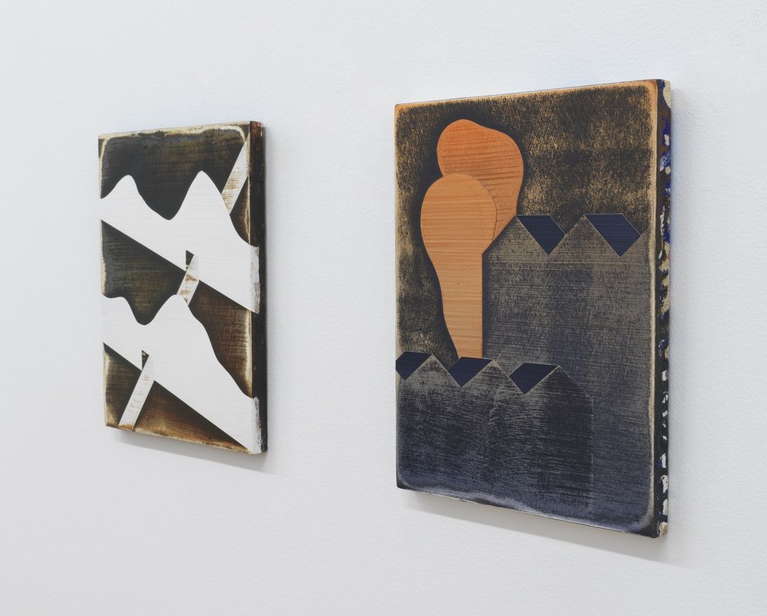 Robert Vellekoop, Fiasko at Haverkampf, photo 5