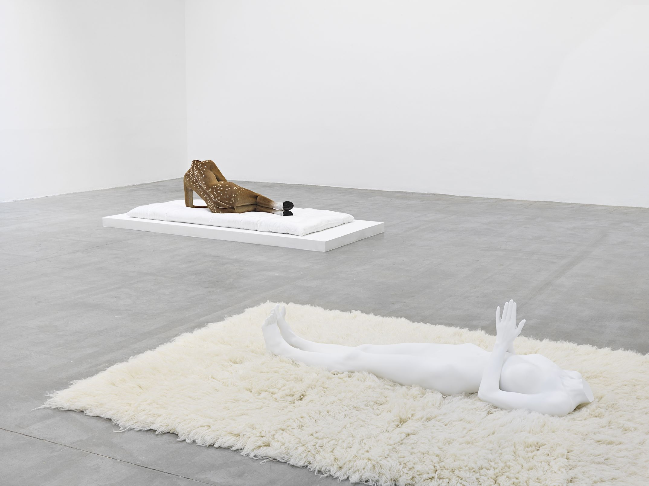 Installation view 8