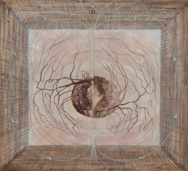 Marcy Hermansader, image 6 of 7
