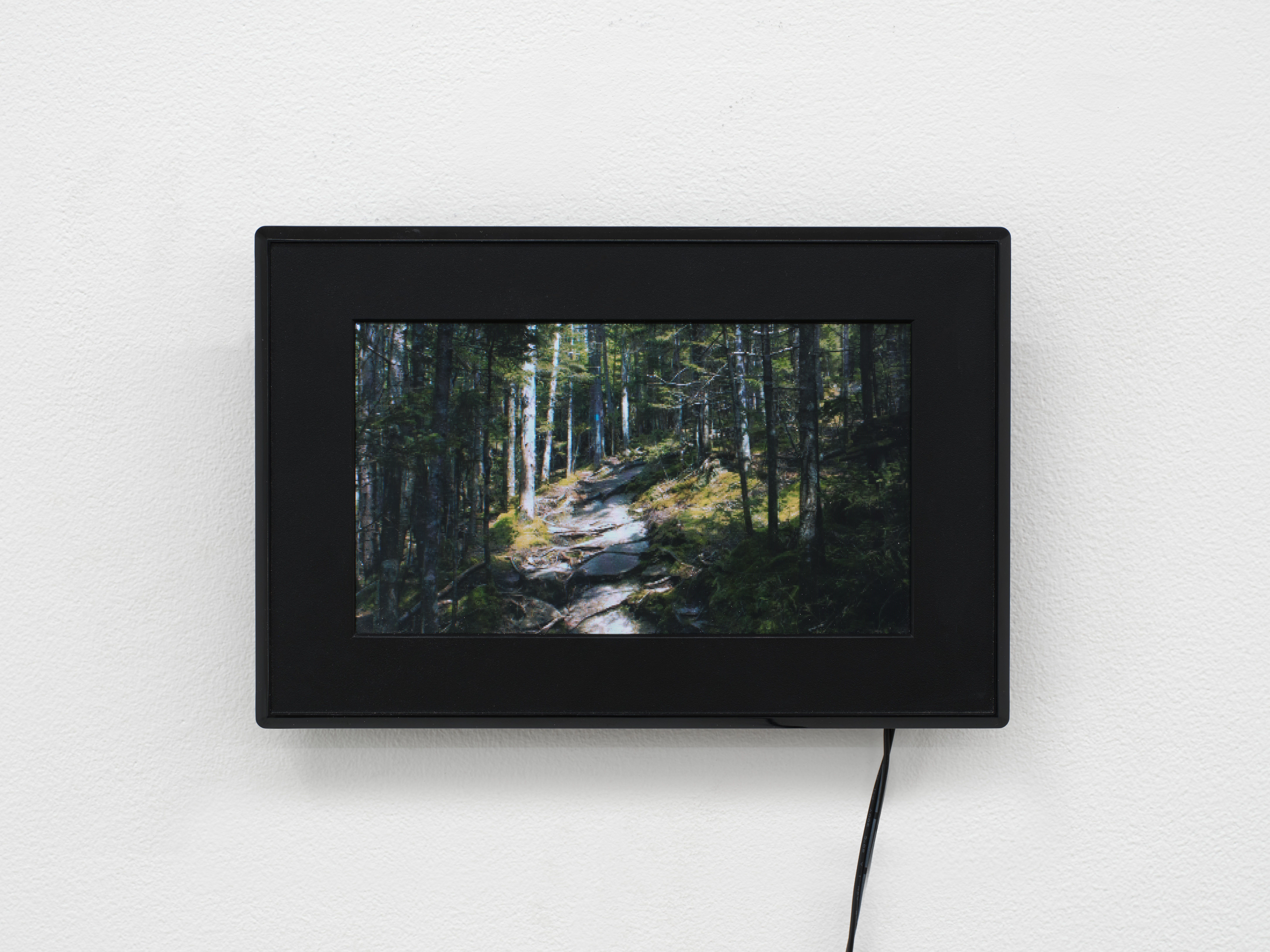 Juliana Halpert & Chris Kraus, Civil Commitment at Bel Ami, photo 7