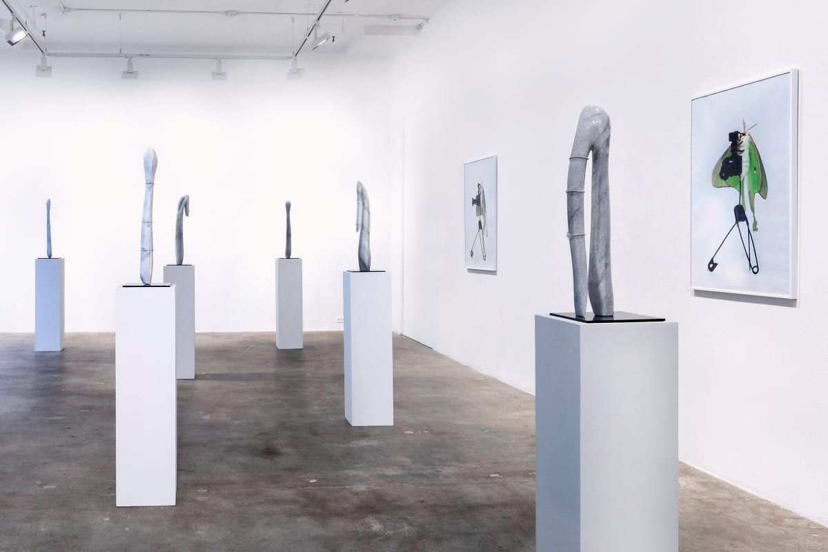 Virginia Lee Montgomery, Dream Cocoon at Hesse Flatow, photo 2