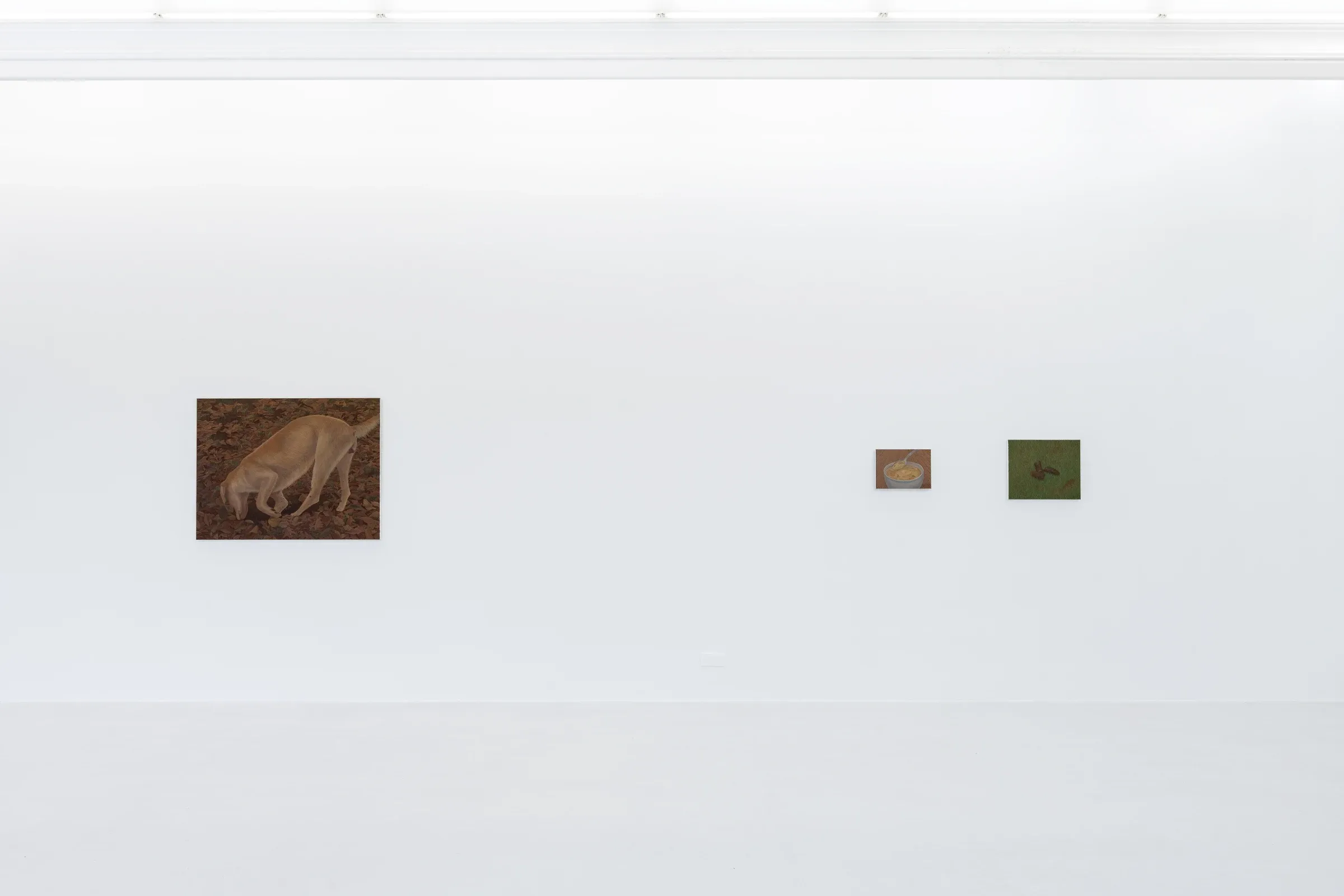 Yaerim Ryu, You and Your Sweating Palms at Peres Projects, photo 2