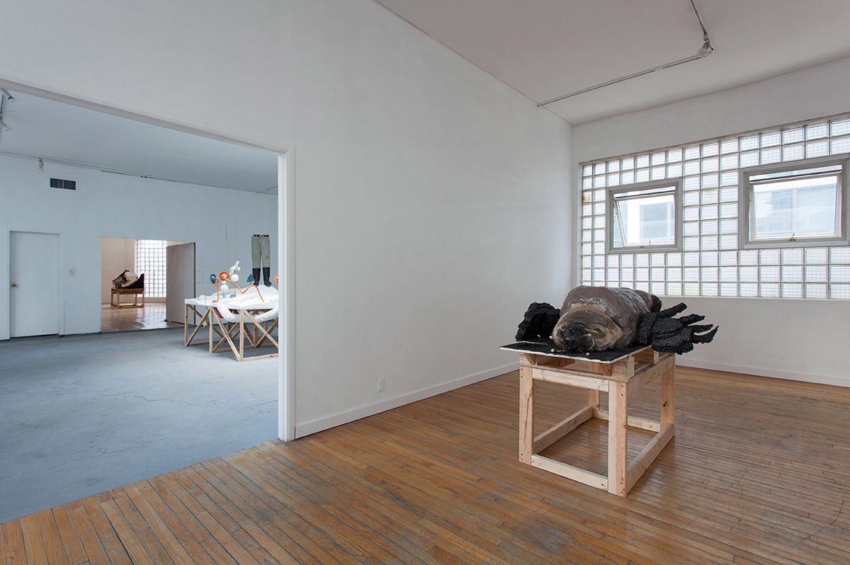 Andrew Ross, Holes at False Flag, photo 3