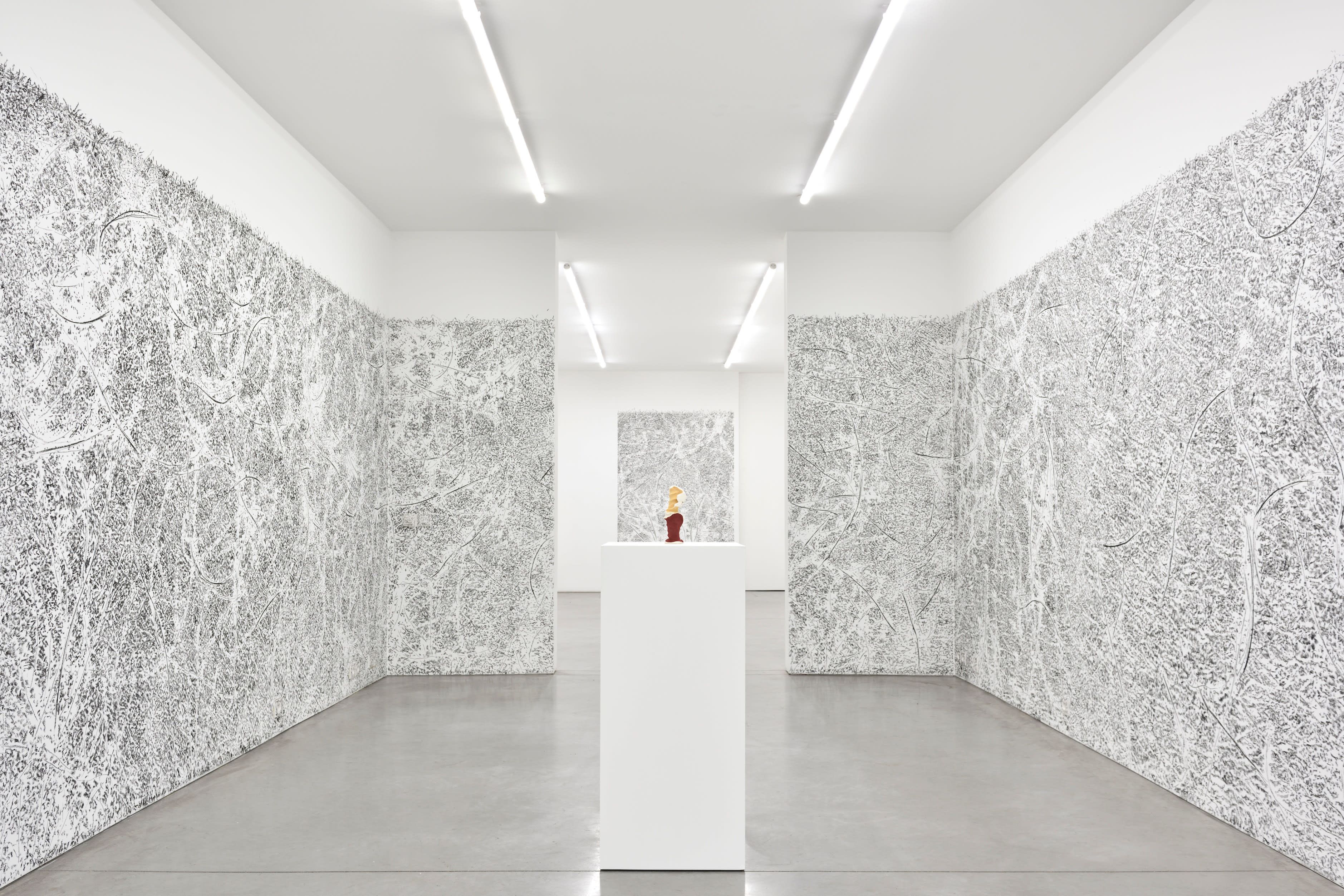 Giuseppe Penone, Envelopper la Terre at Librairie Marian Goodman, photo 4