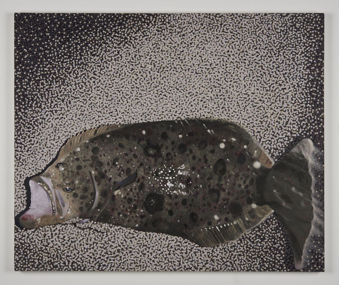 Adam Higgins, Flatfish at Hunter Shaw Fine Art, photo 11