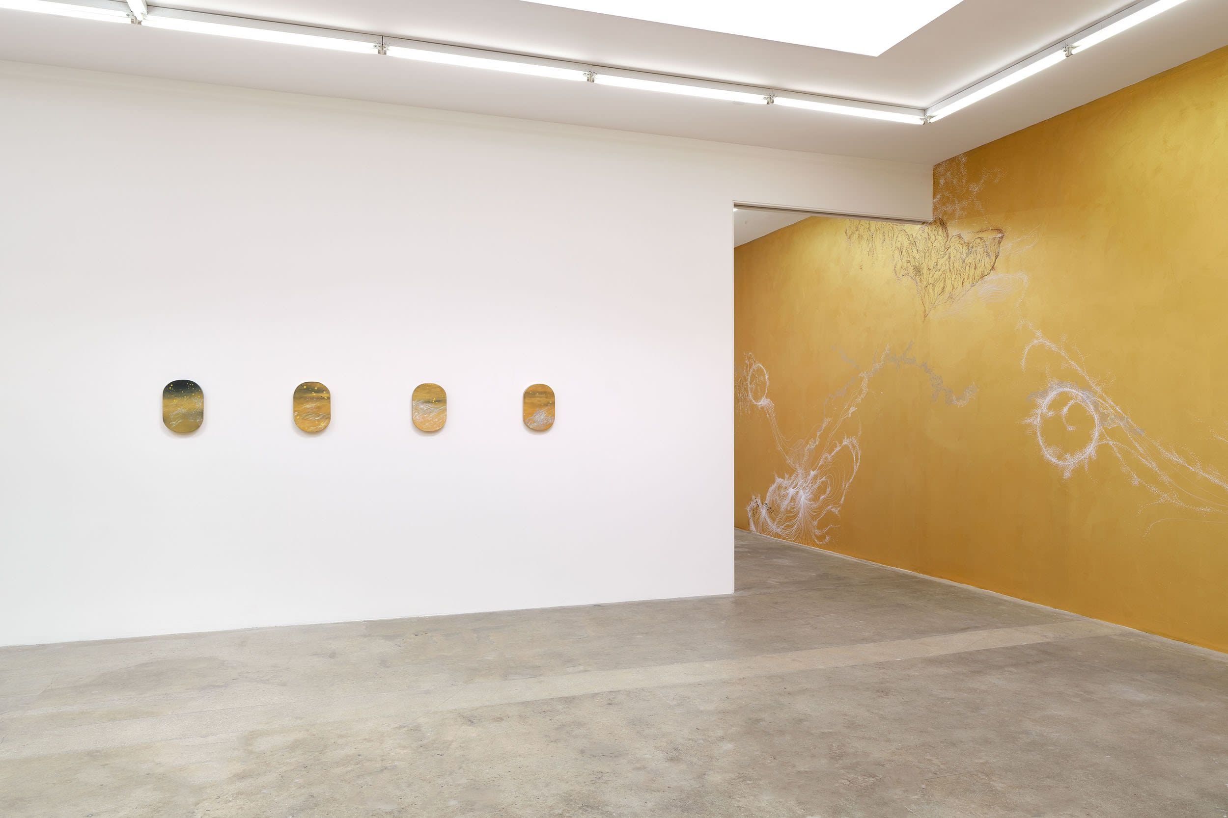 Sandra Cinto, Prelude to the Sun at Tanya Bonakdar, photo 4