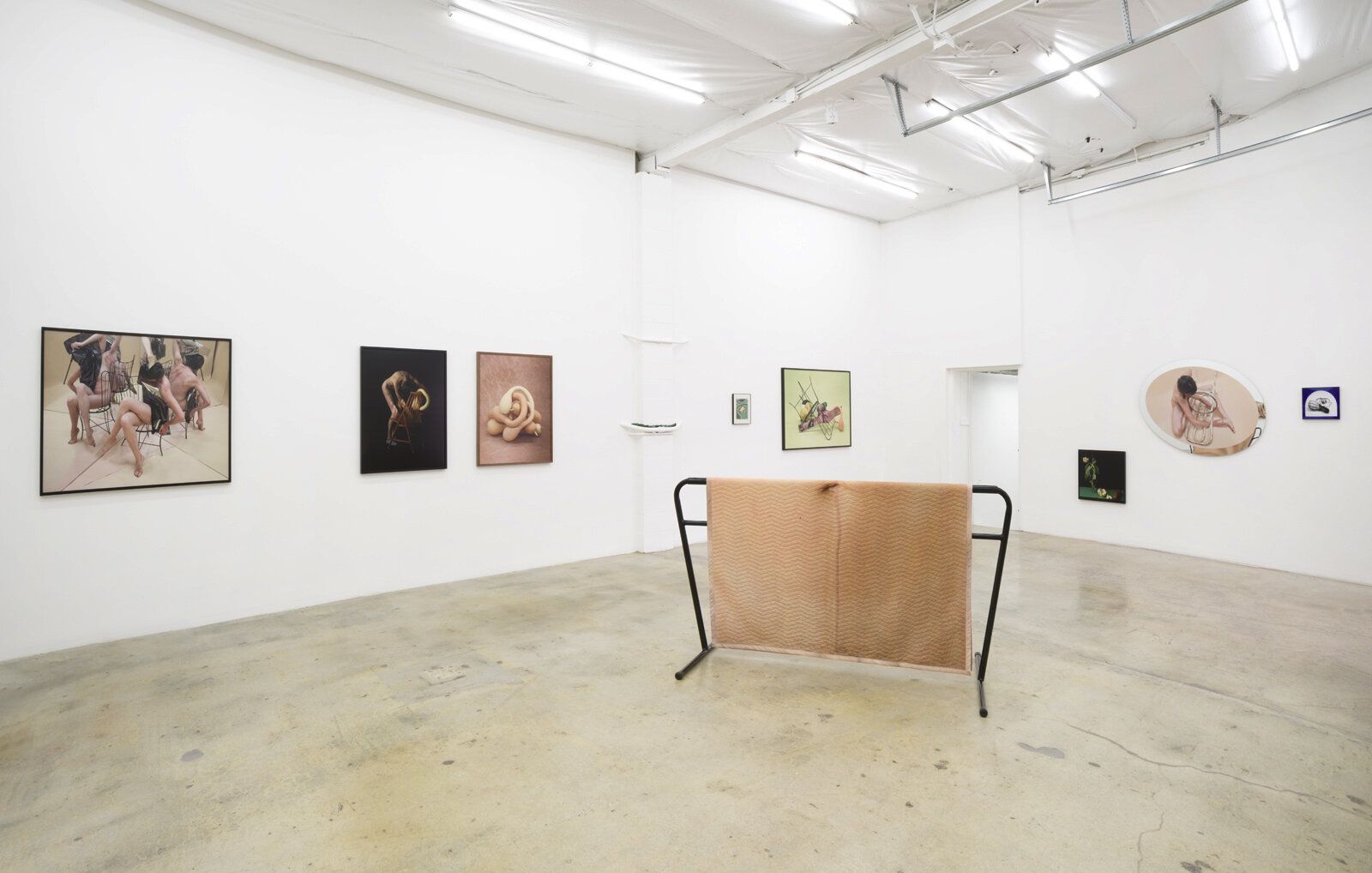 Heather Rasmussen, Animal, Vegetable, Mineral at The Pit, photo 2