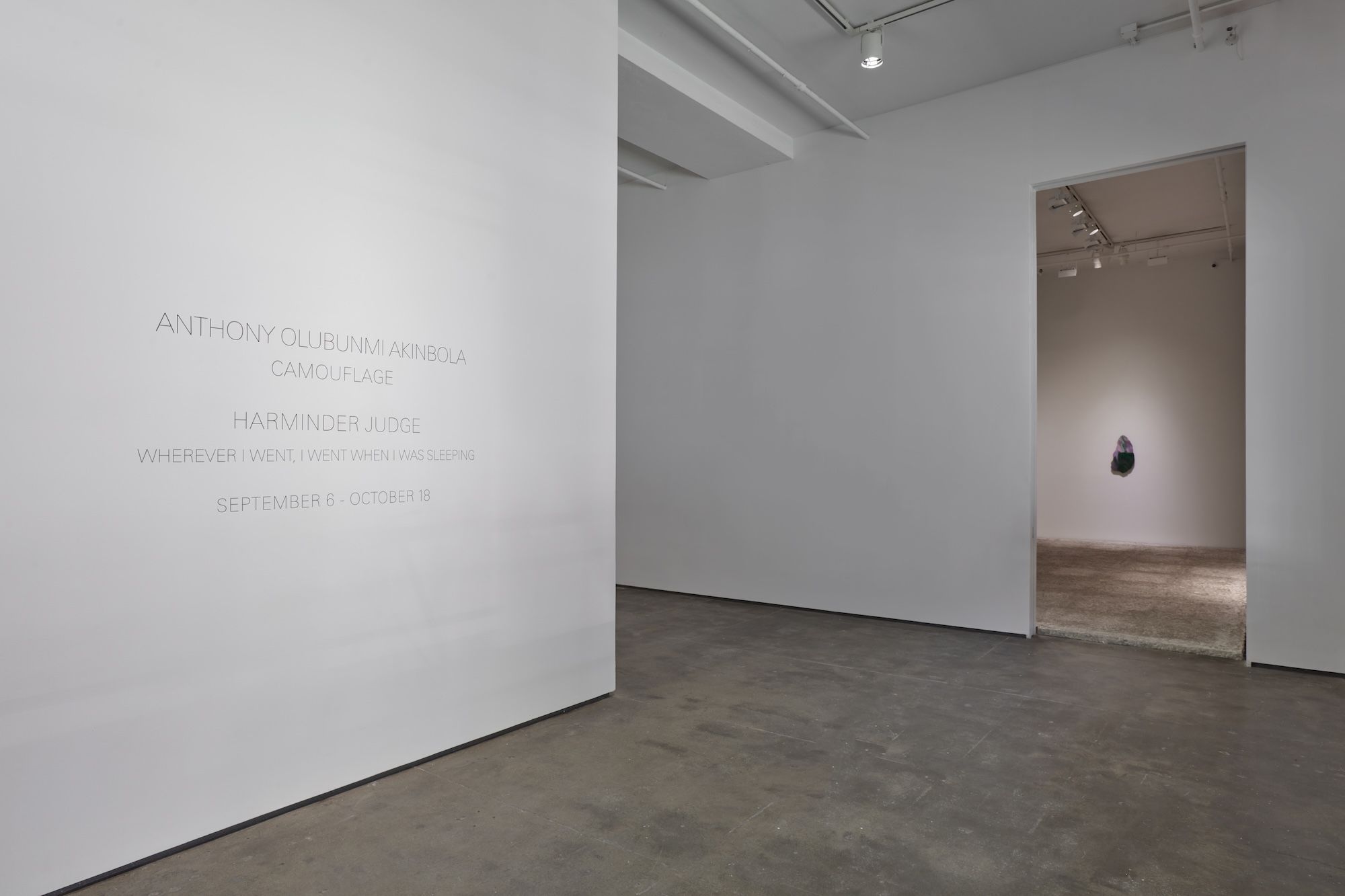 Installation view 5