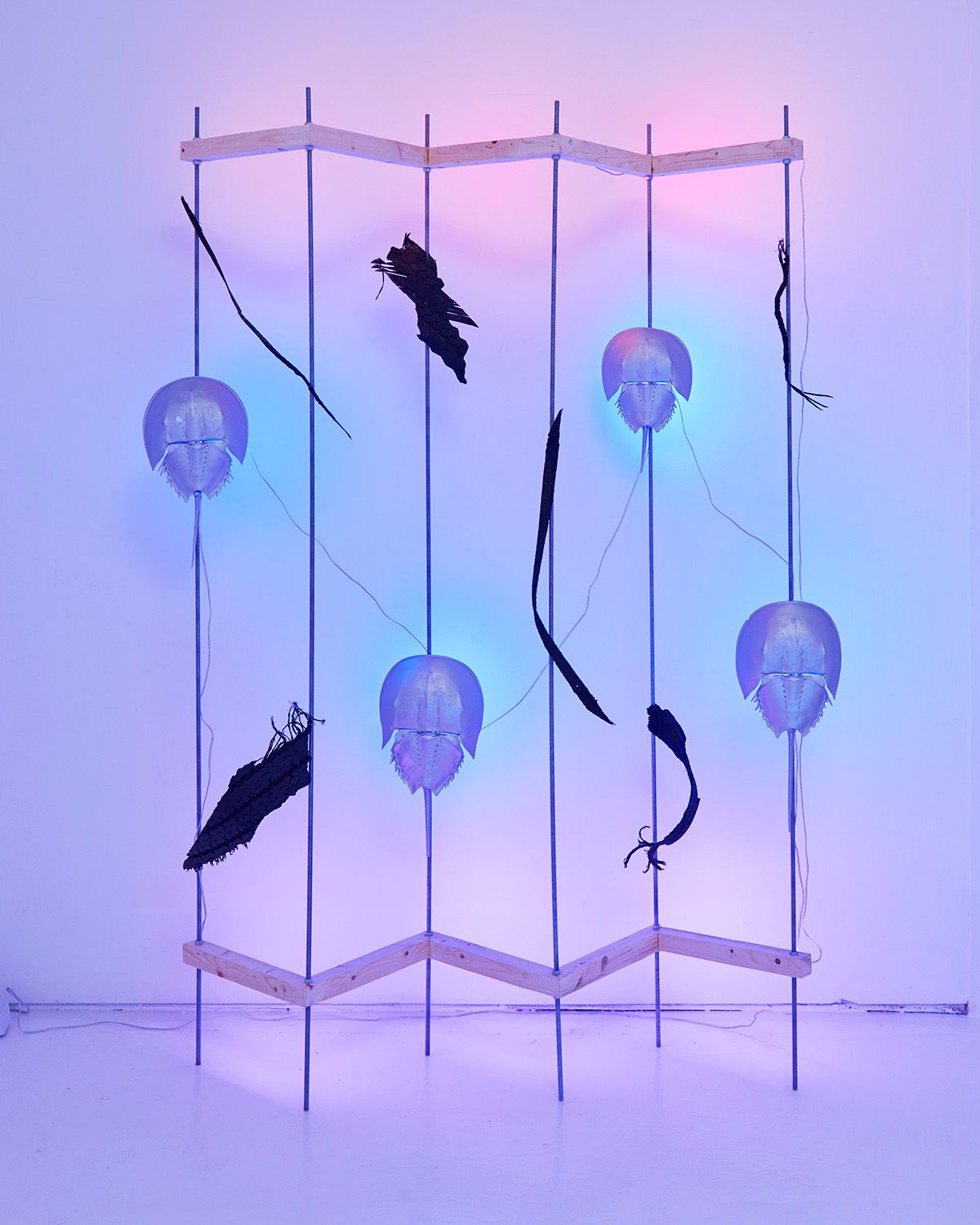 Lizzie Wright, Timed Entry at Essex Flowers, photo 3