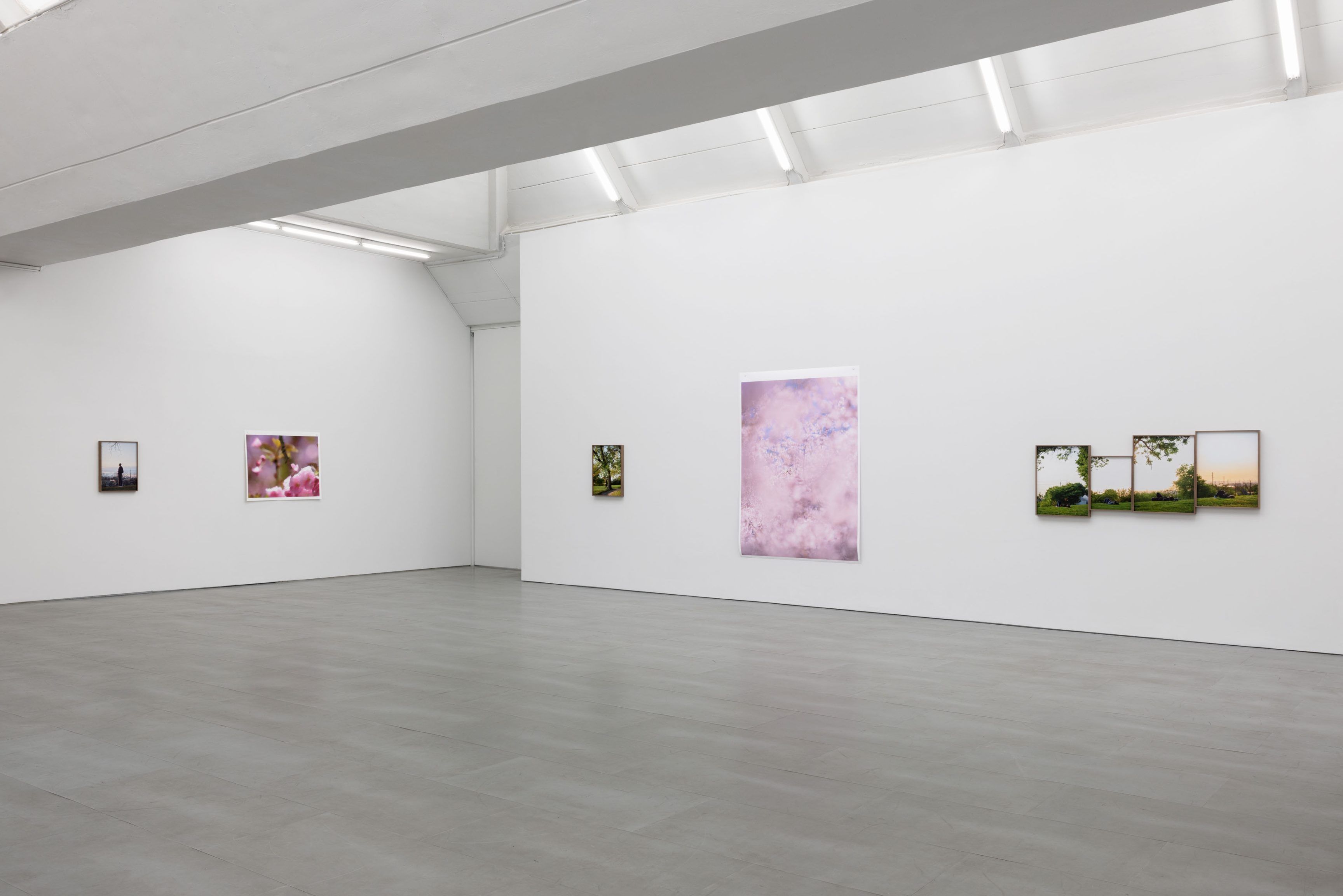 Paul Graham, Verdigris at Carlier Gebauer, photo 3