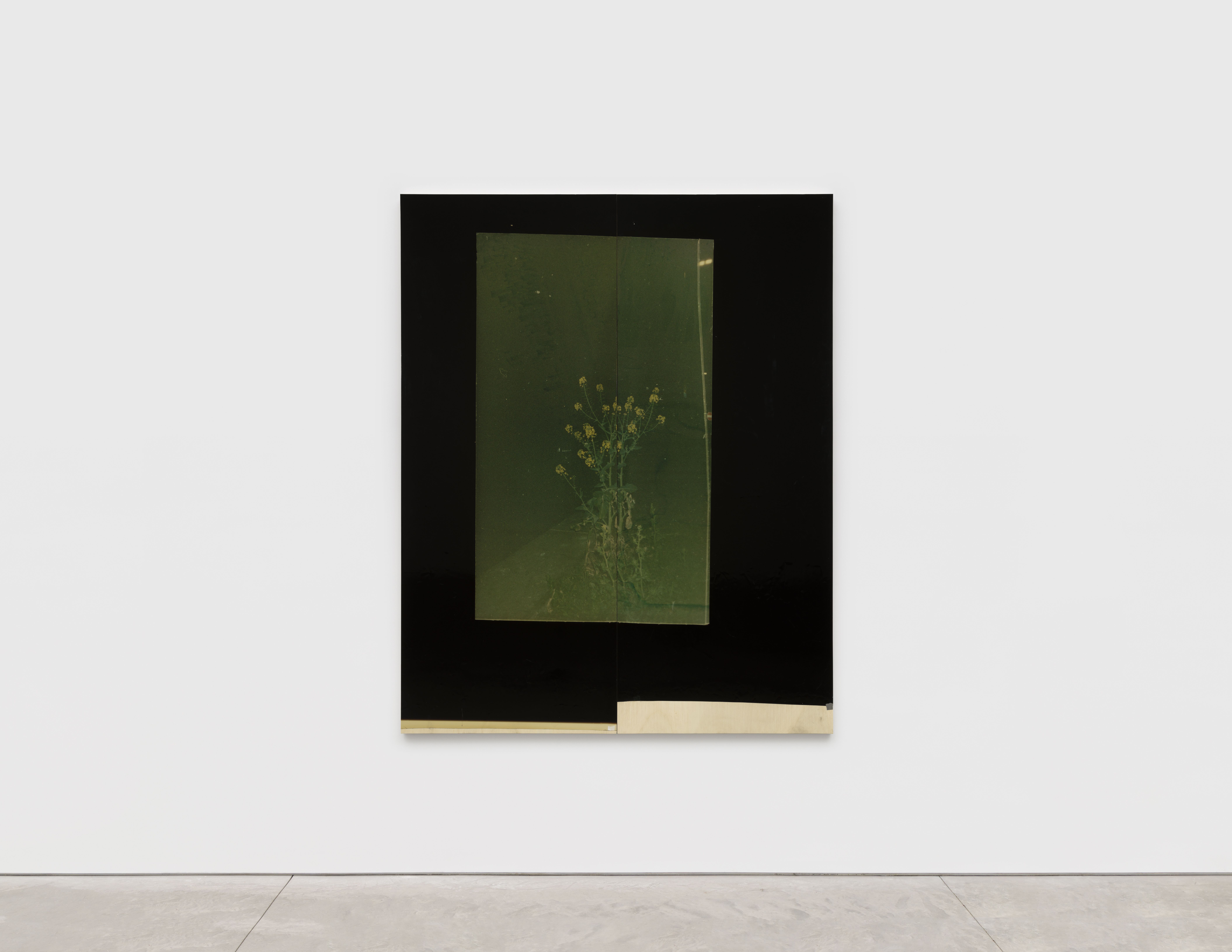 Nat Faulkner, image 2 of 2