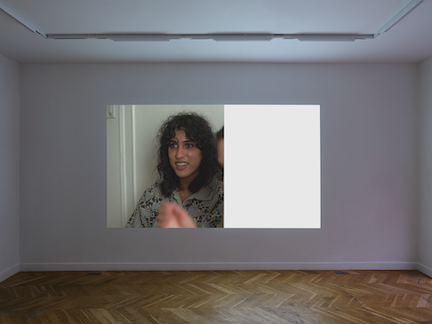 Hannah Black, 2020 at Fitzpatrick Gallery, photo 2