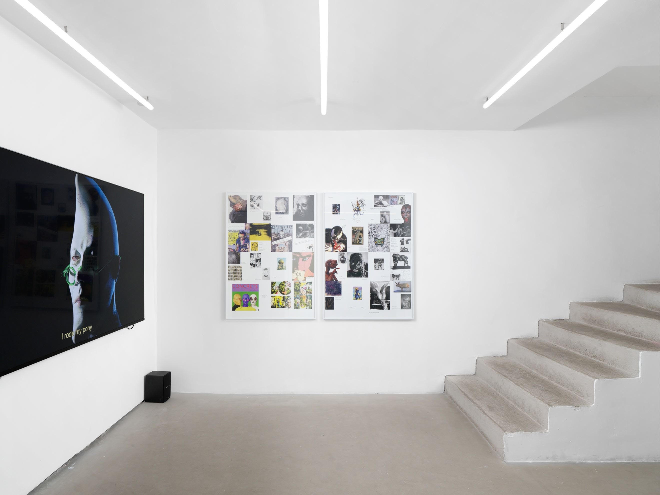 Will Benedict, Hello Greedy Citizens at Balice Hertling, photo 9