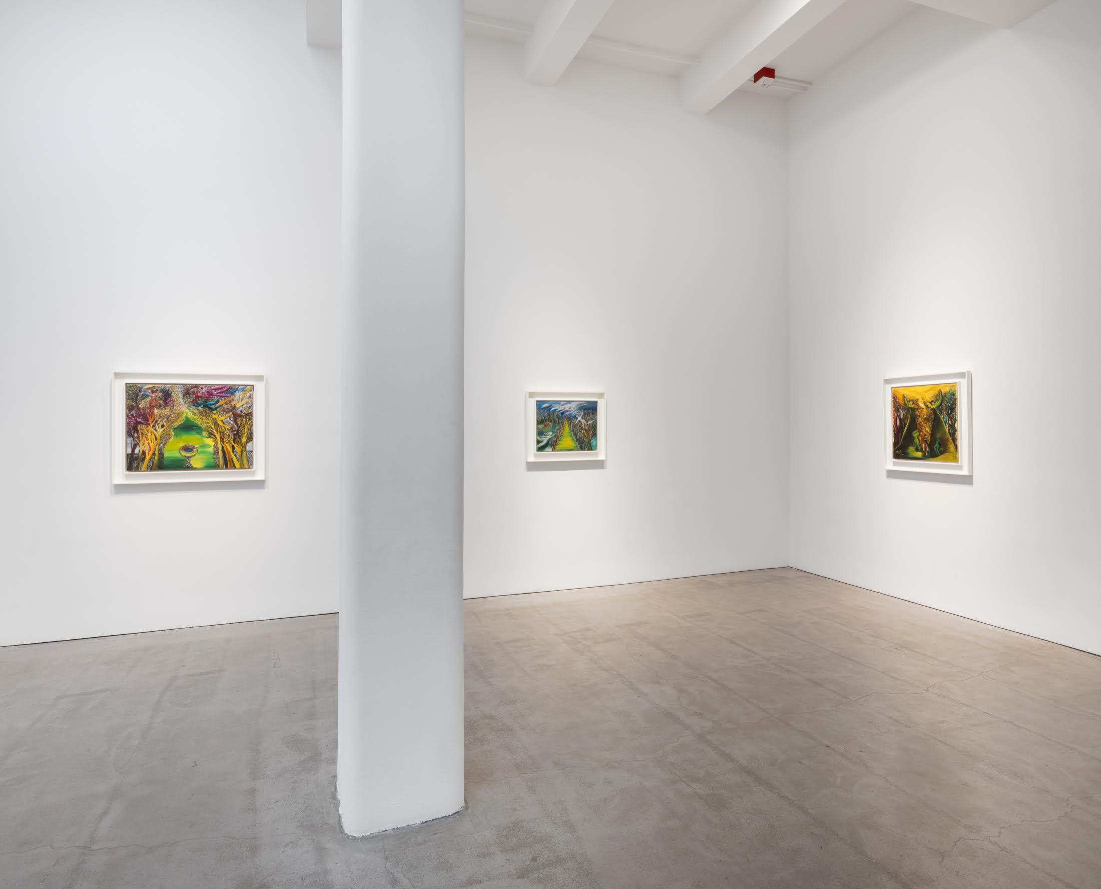 Lucia Wilcox, Lucia at Berry Campbell, photo 6