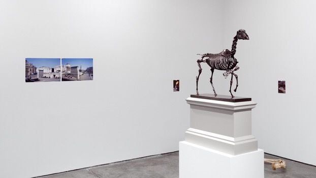 Hans Haacke, Hans Haacke at Paula Cooper, photo 3