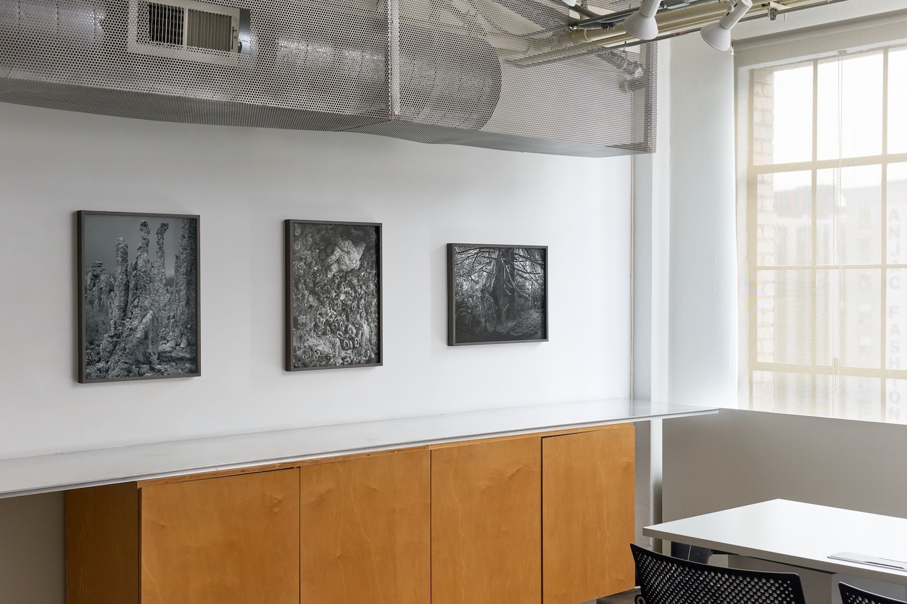 Ron Jude, Low Tide at Gallery Luisotti, photo 4