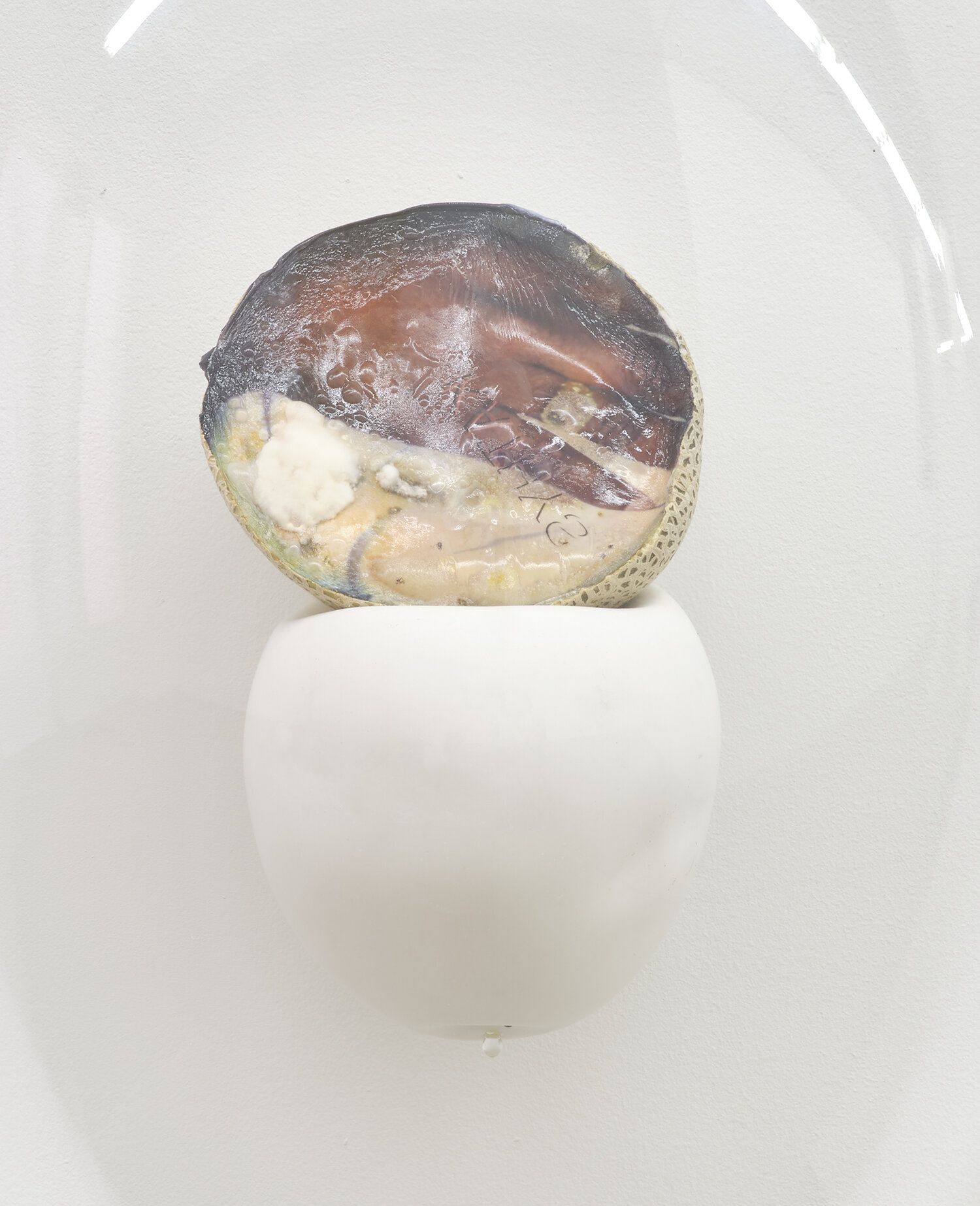 Karinne Smith, Melon Skin at M 2 3, photo 7