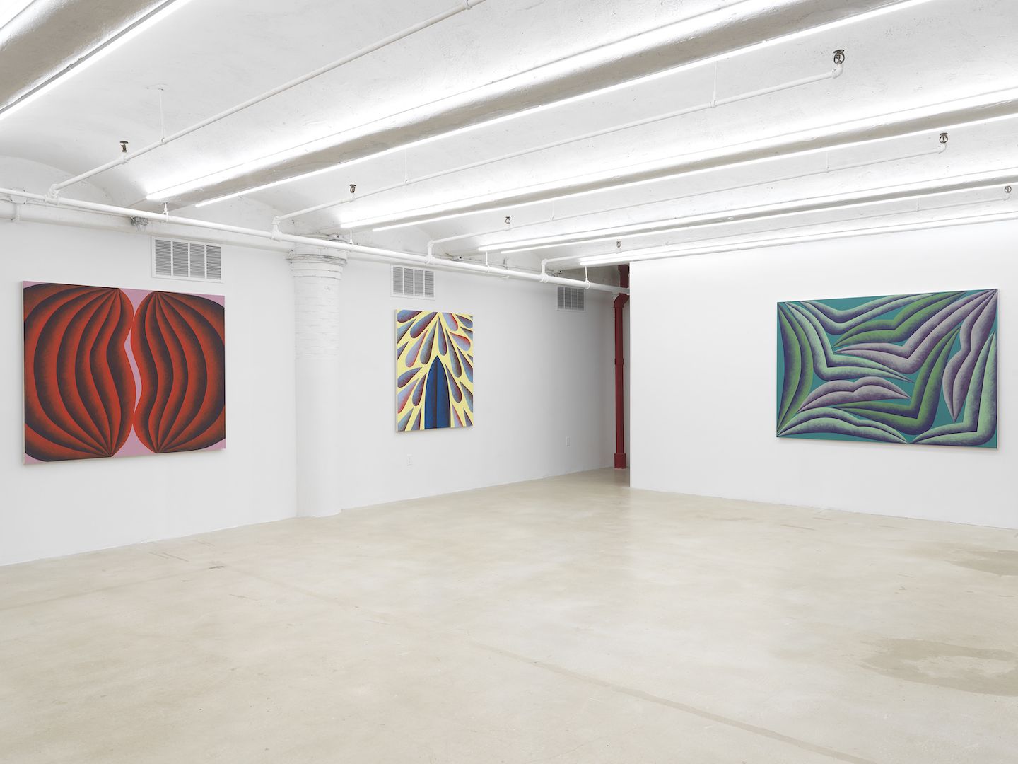 Corydon Cowansage, Seed at Sean Horton (Presents), photo 2