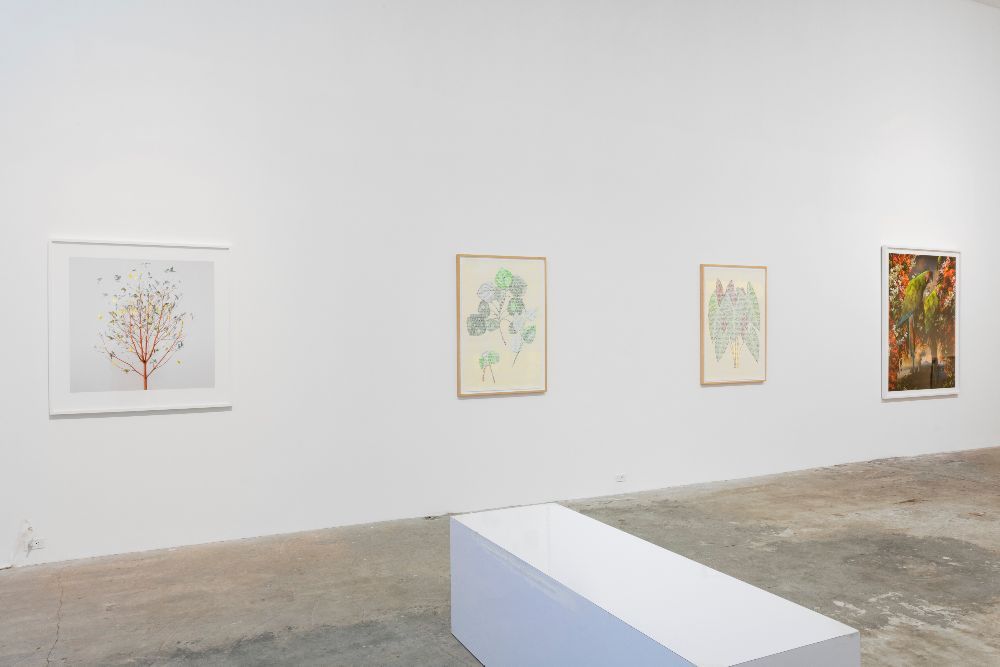 In Sight, In Sight at Olsen Gruin, photo 3