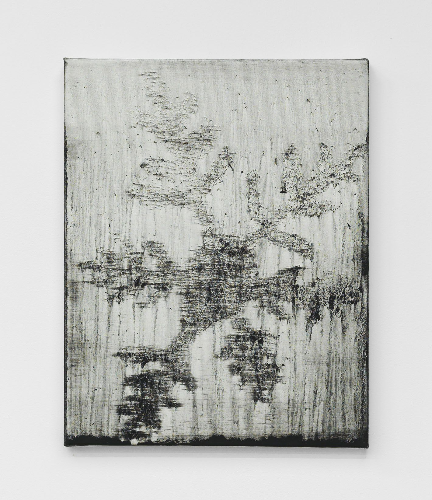 Alex Kwartler, Snowflake at Magenta Plains, photo 5