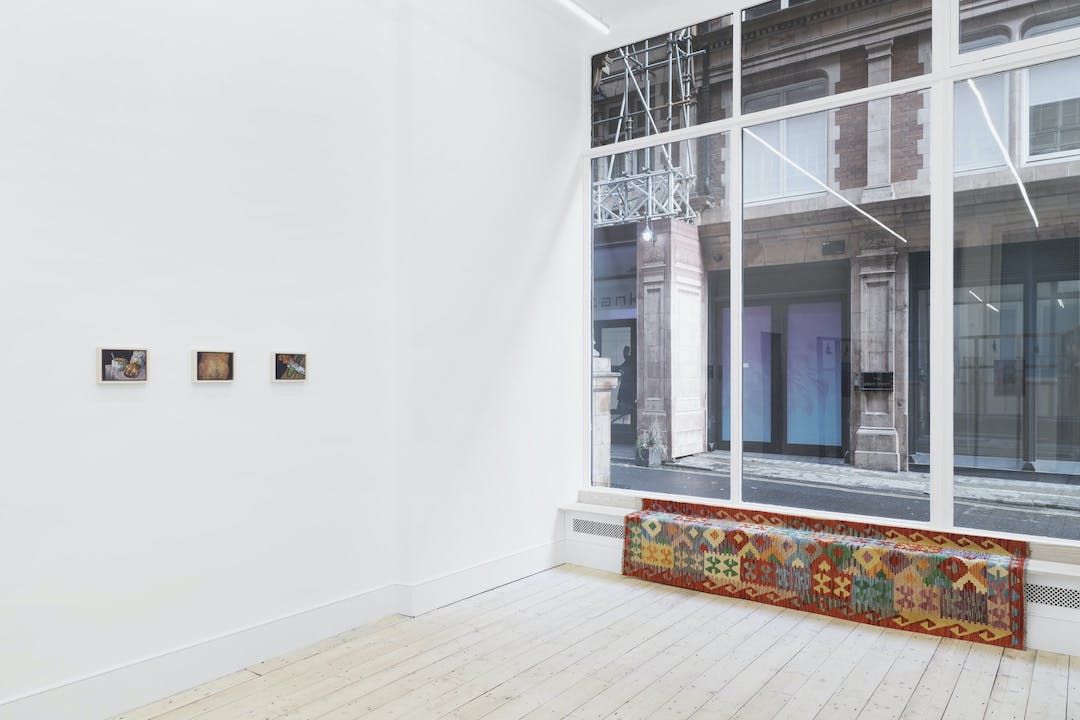 Mohammed Z. Rahman, City of Burrows at Phillida Reid, photo 14