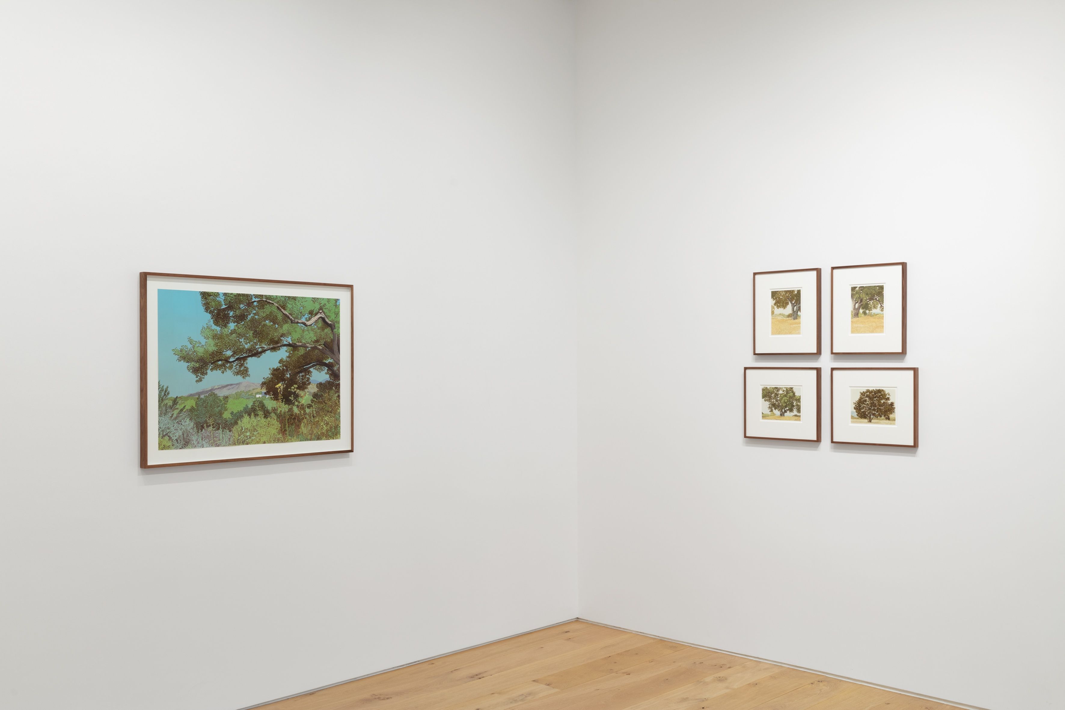 Jake Longstreth, California Landscapes at Max Hetzler, photo 6