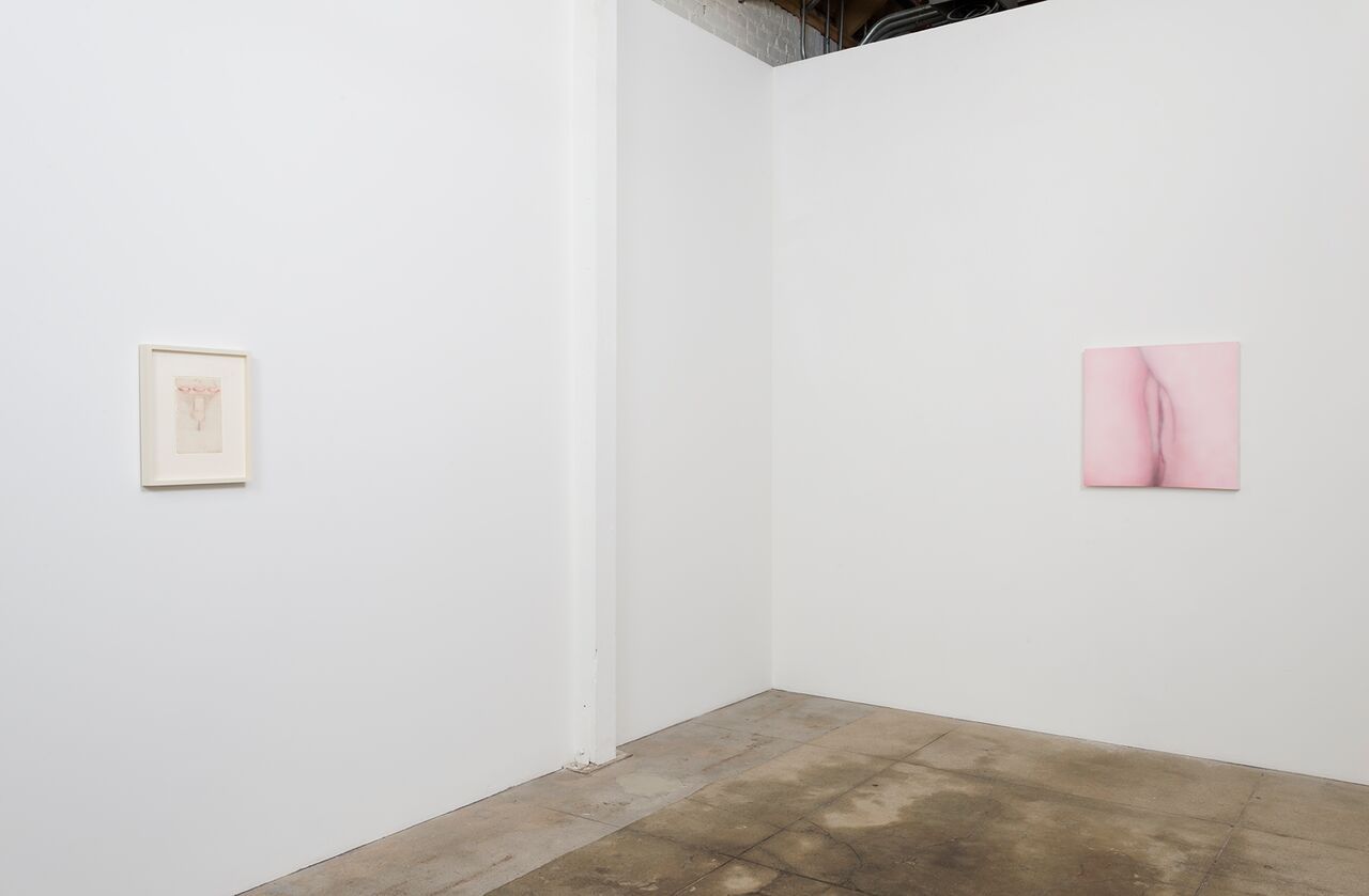 Betty Tompkins, Sex Works / Women Words, Phrases, and Stories at Gavlak, photo 9