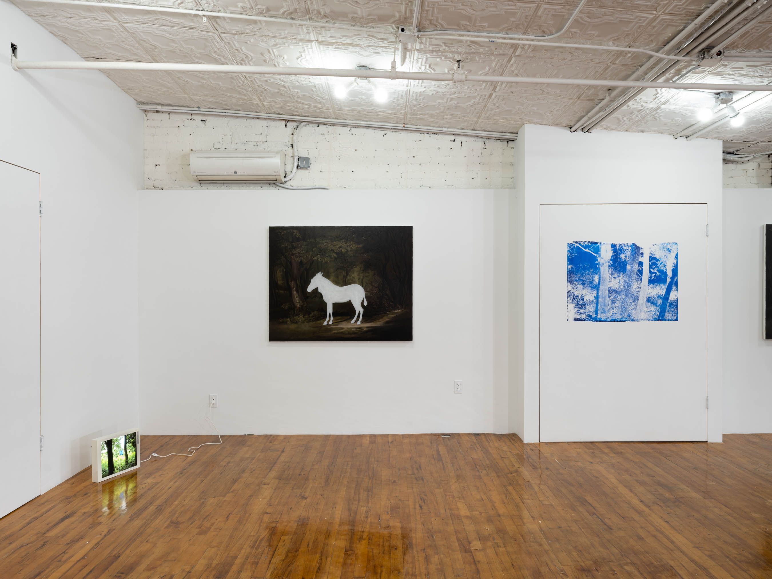 Installation view 4