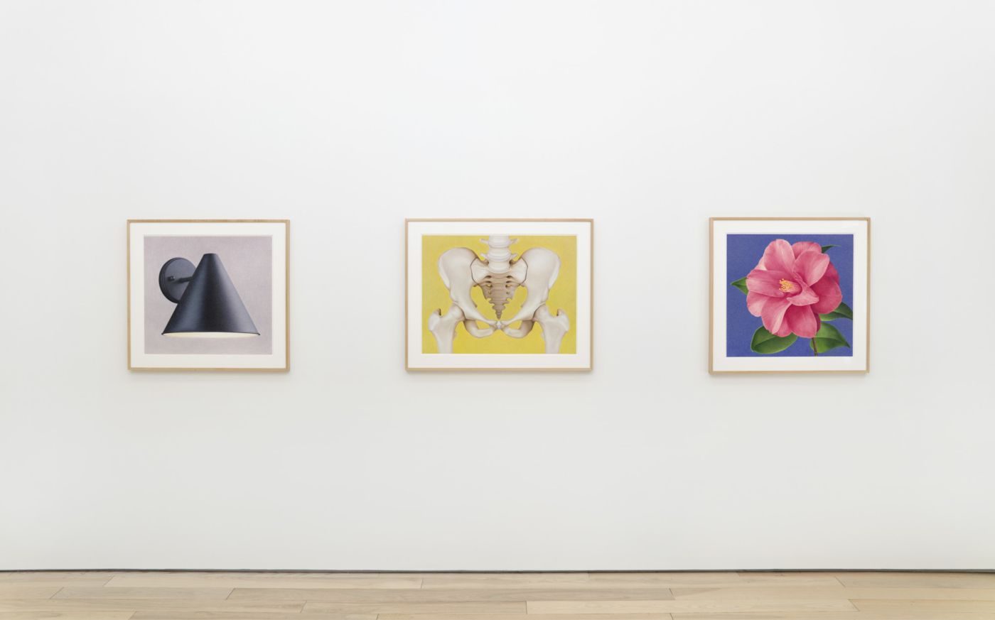 Mathew Cerletty, This at Karma, photo 4