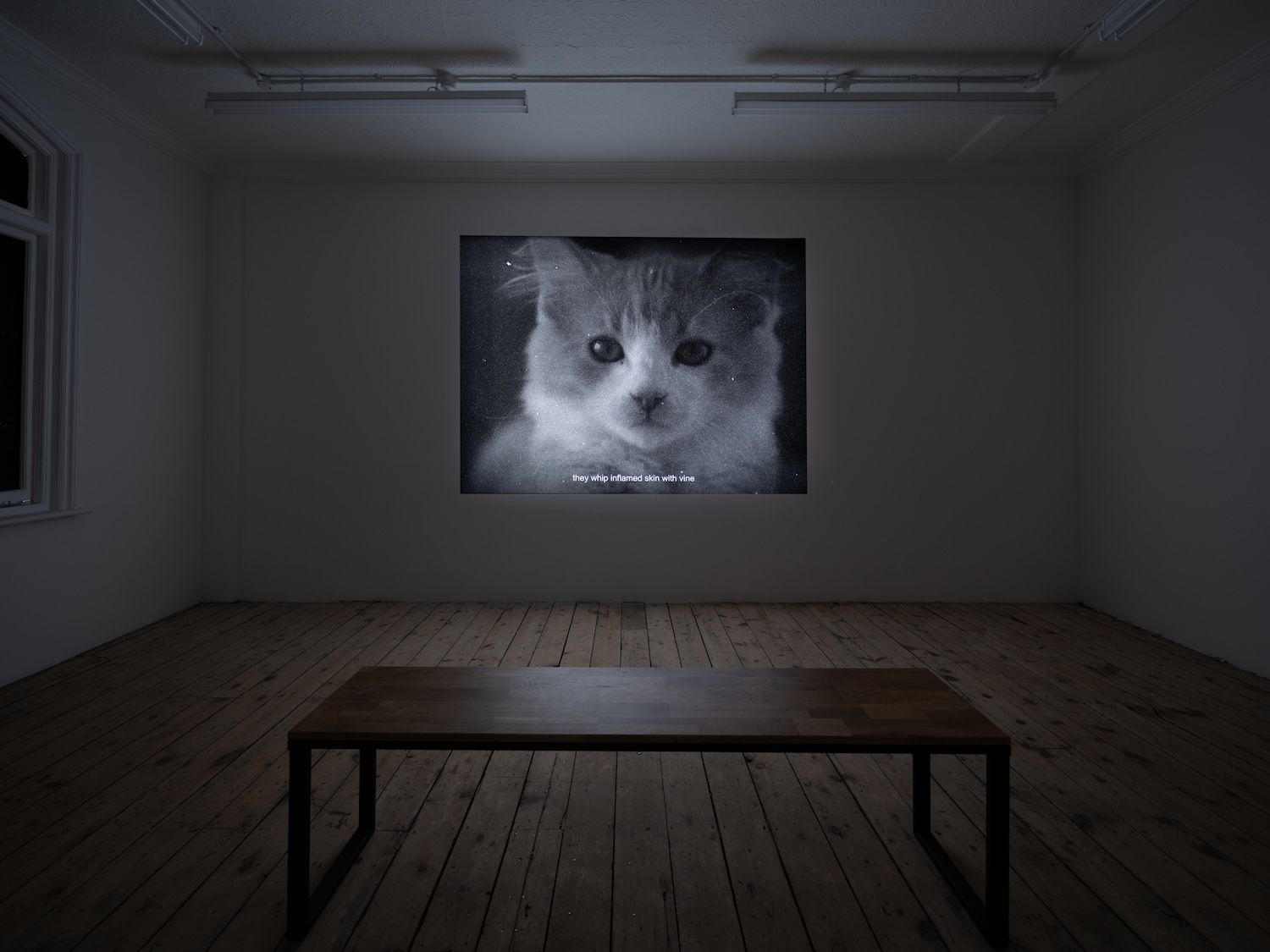Shen Xin, Mink and Berry at Tina, photo 7