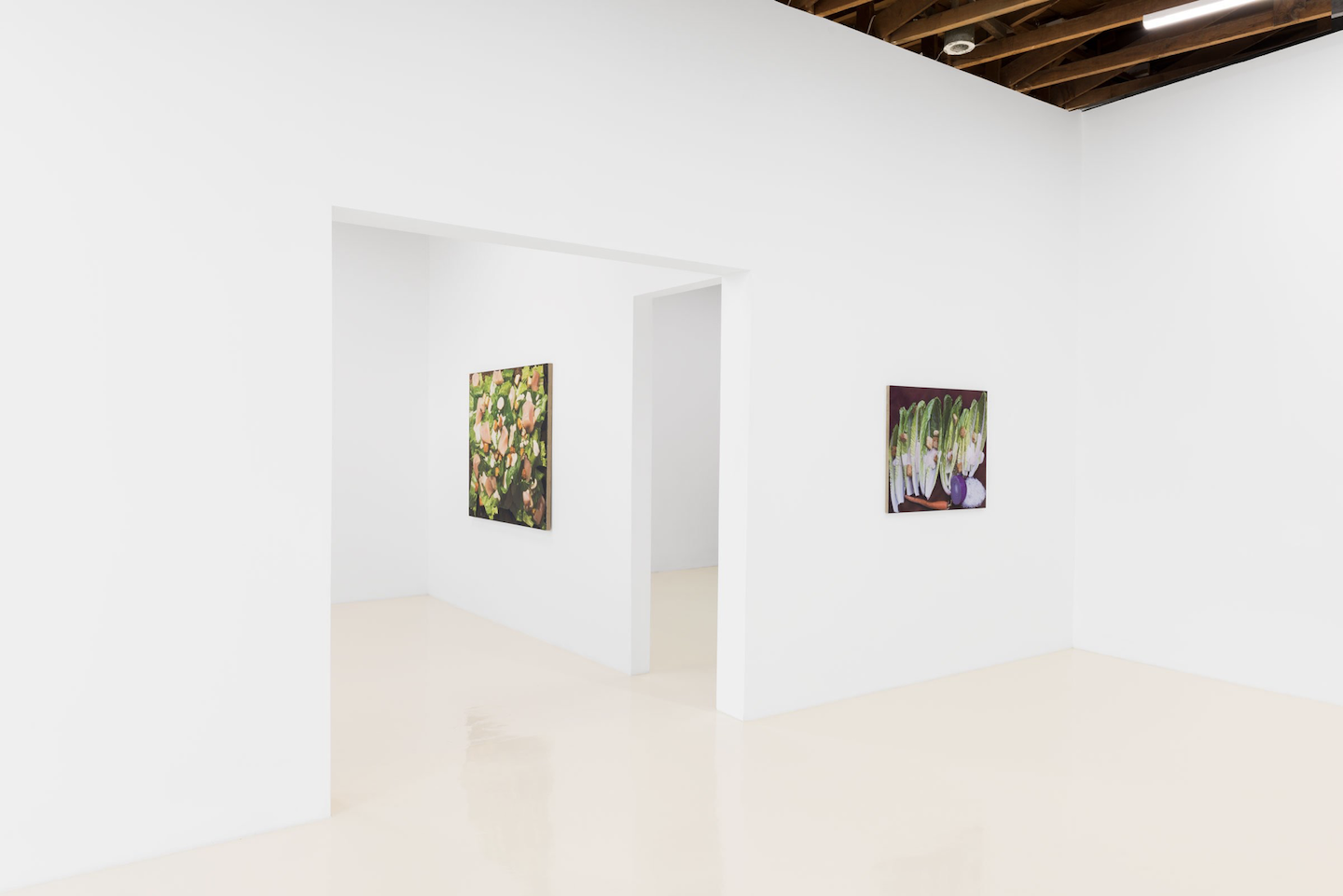 Adam Higgins, My Salad Years at Chris Sharp, photo 3