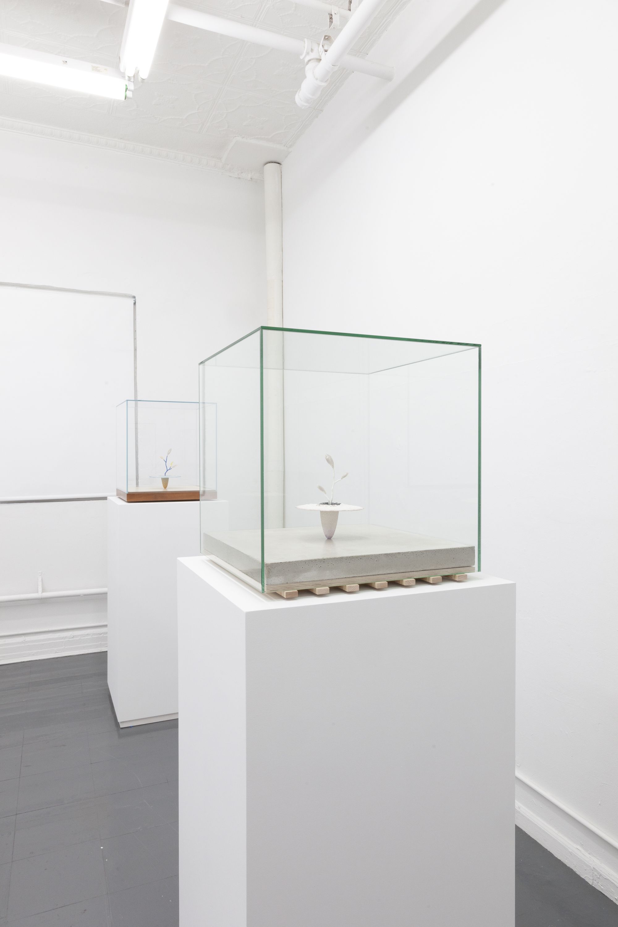 Anders Hamilton, image 11 of 32