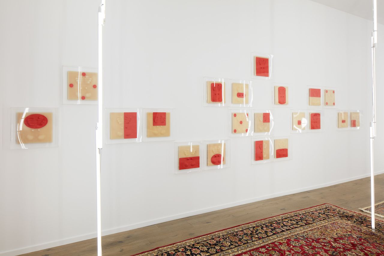 Carlito Carvalhosa, I Want to be Like You at Galeria Nara Roesler, photo 3