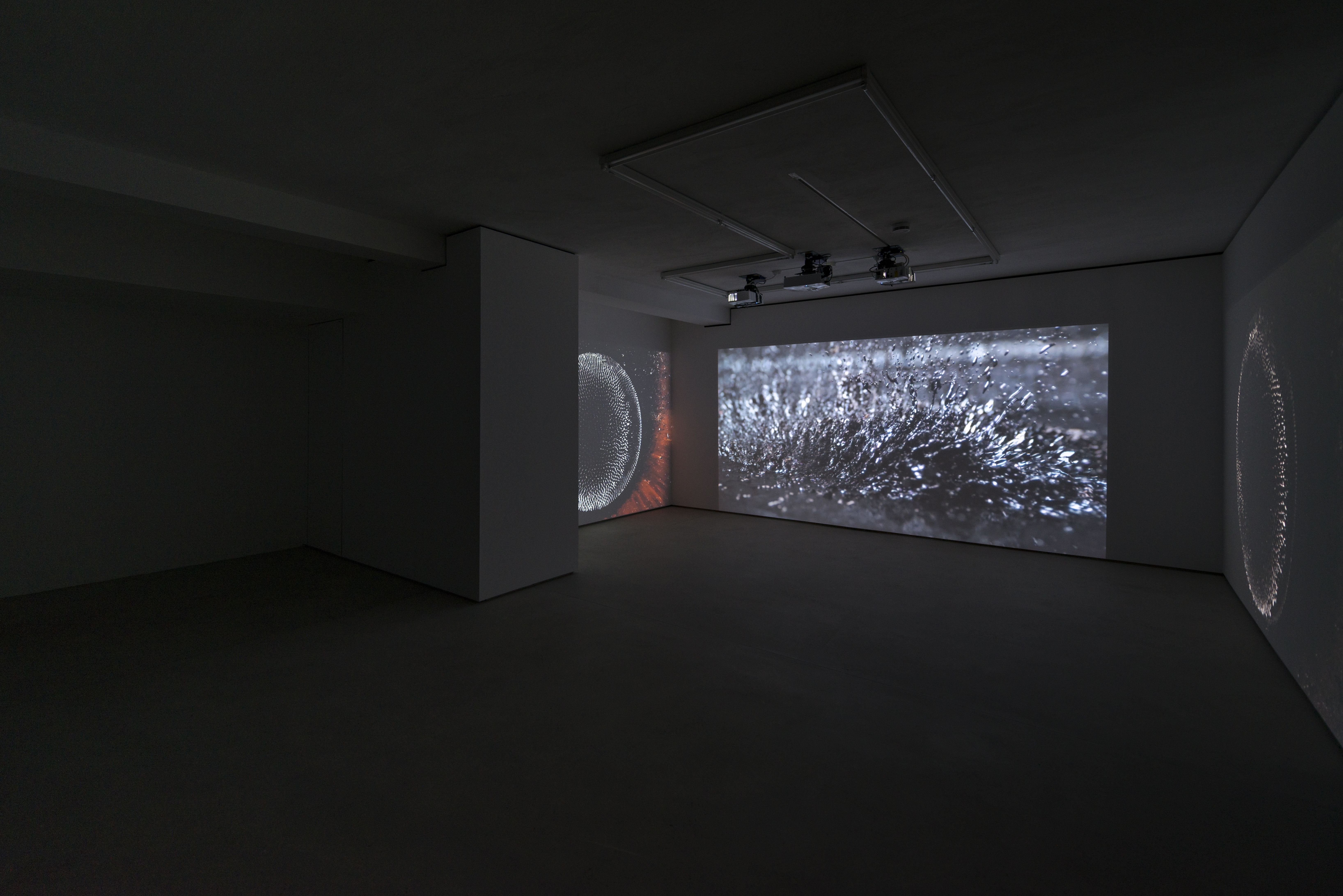 Hicham Berrada, Les Fleurs at WNTRP, photo 5