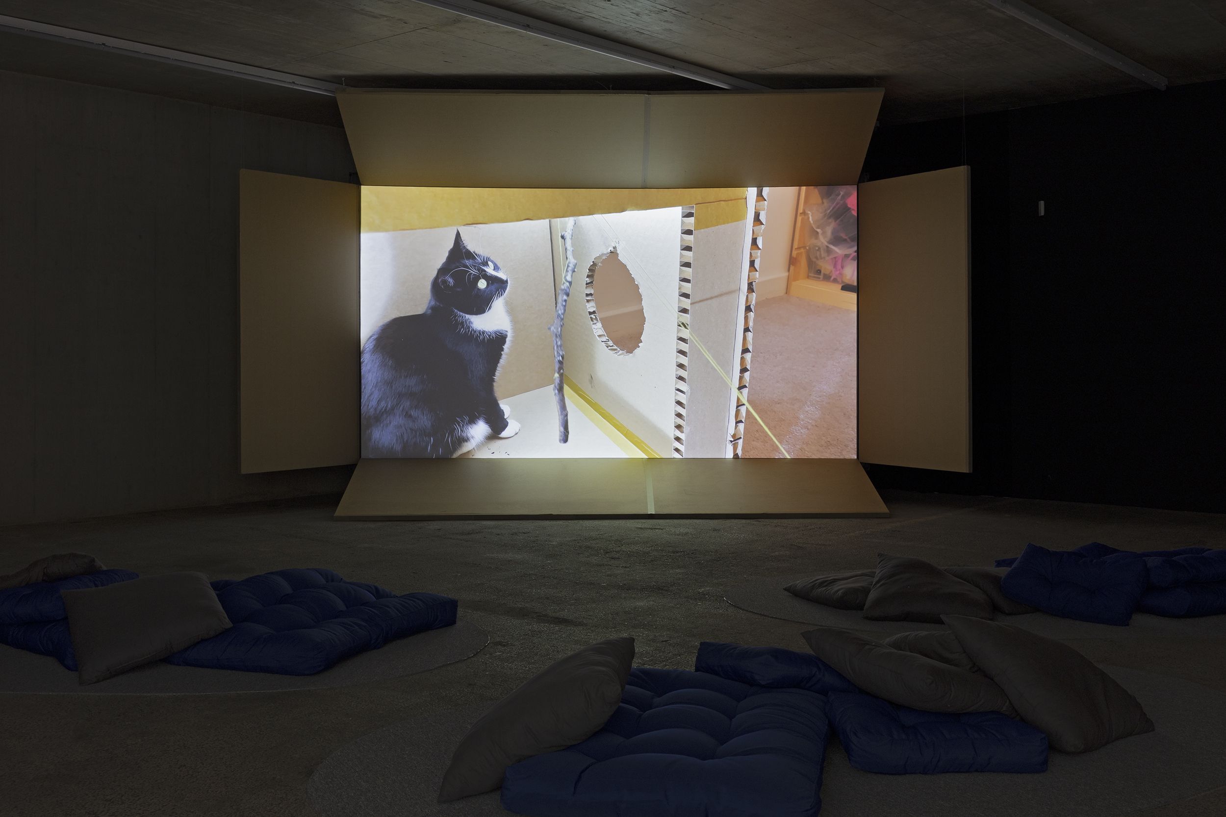 Whispers From Tides and Forests, Whispers From Tides and Forests at Kunsthaus Baselland, photo 3