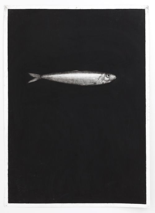 Invincible Summer, Invincible Summer at Emmanuel Barbault, photo 3