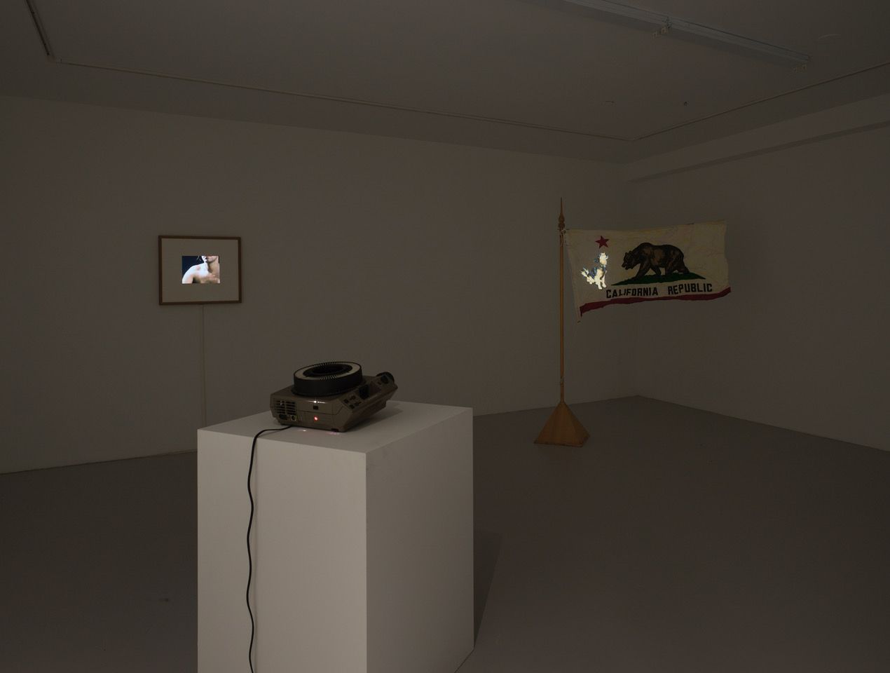 Ger van Elk, Therefore, Art is Splendid at Grimm, photo 6