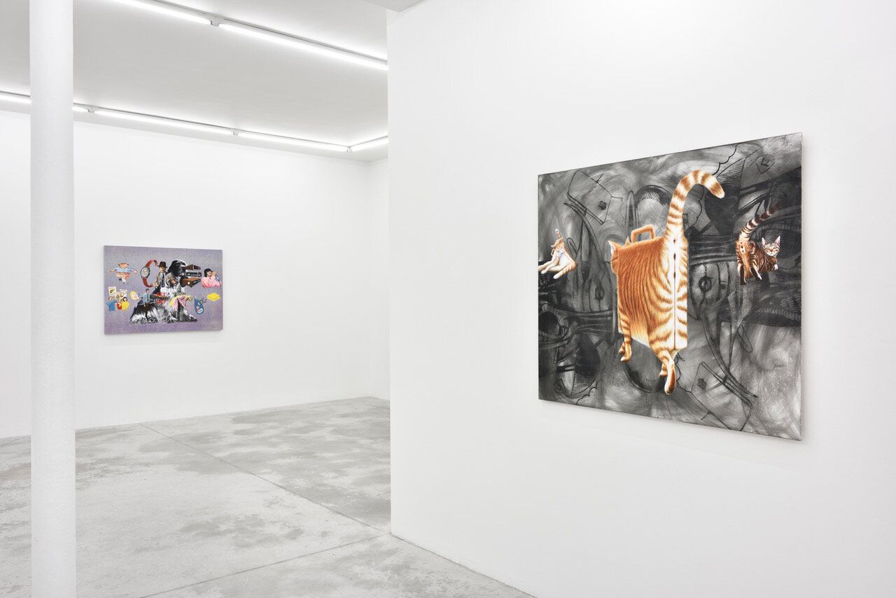 Jim Shaw, Strange Beautiful at Praz-Delavallade, photo 10