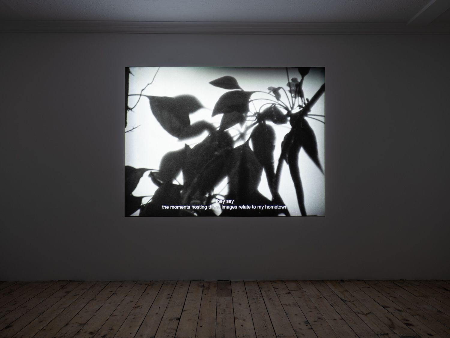 Shen Xin, Mink and Berry at Tina, photo 9