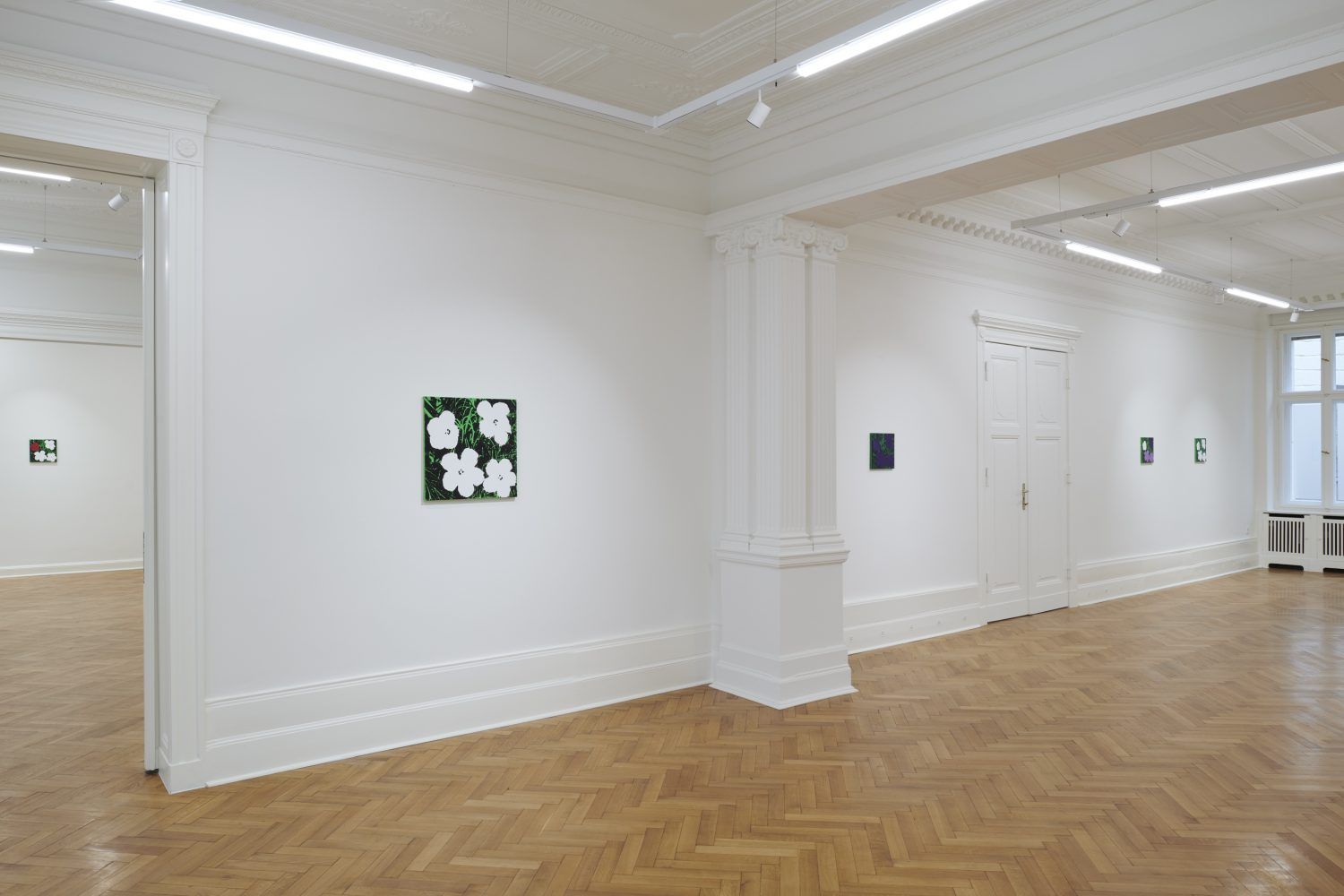 Sturtevant, Sturtevant at Société, photo 4
