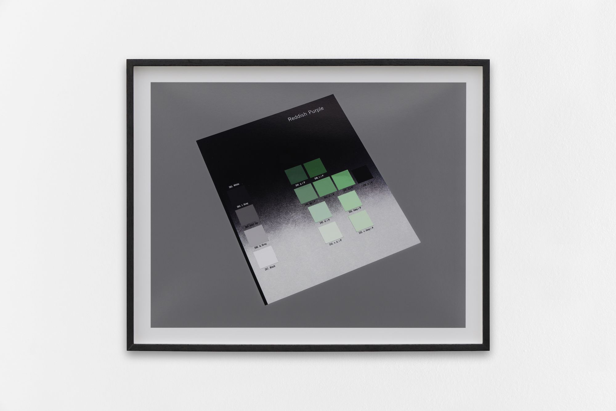 Morgan Fisher, Paintings and Photographs at Mitterrand, photo 7