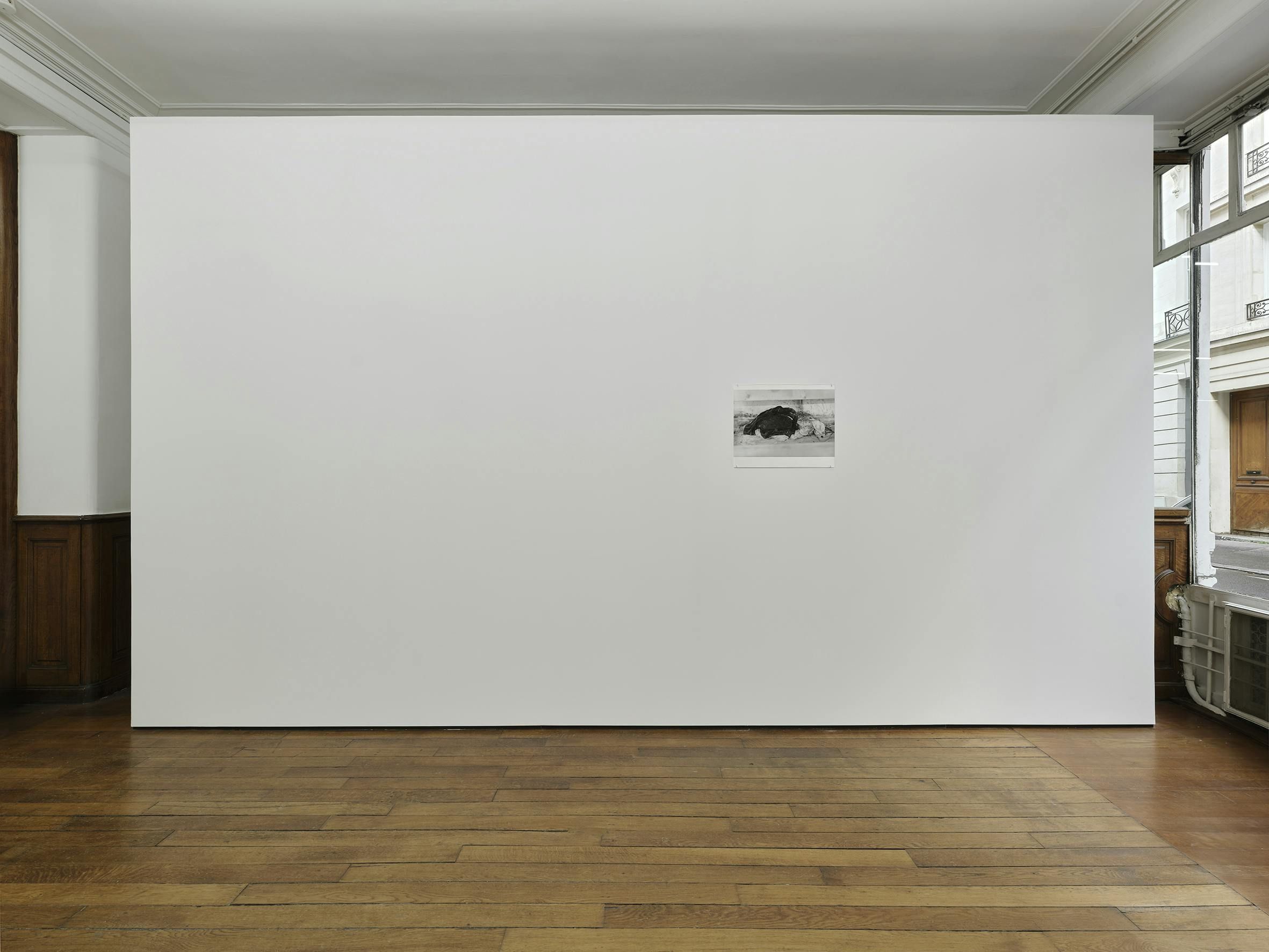 Lenard Giller, Sediment at Petrine, photo 5